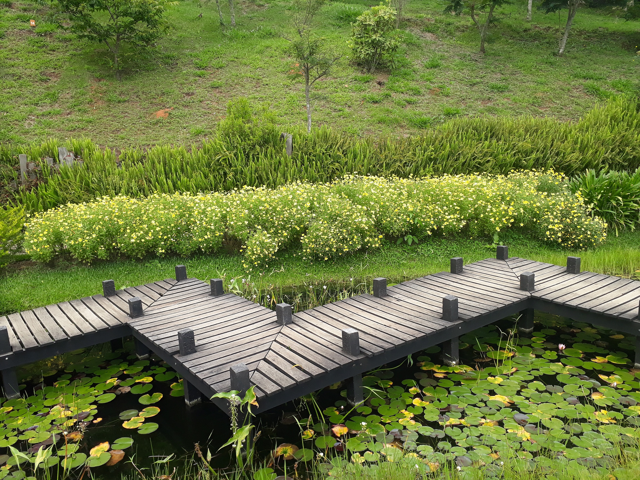 景观公共设施有哪些分成几个大类