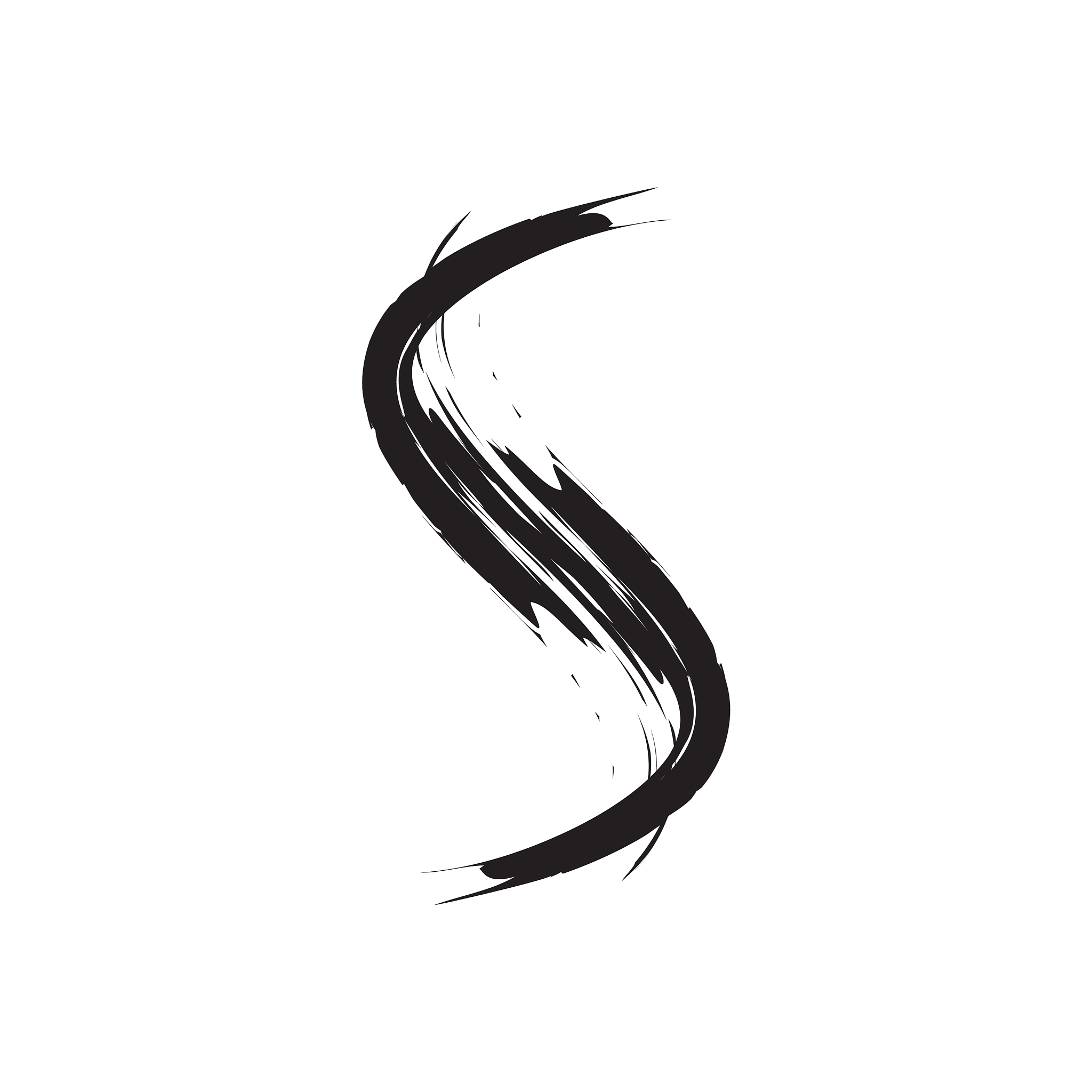 s brush letter logo design