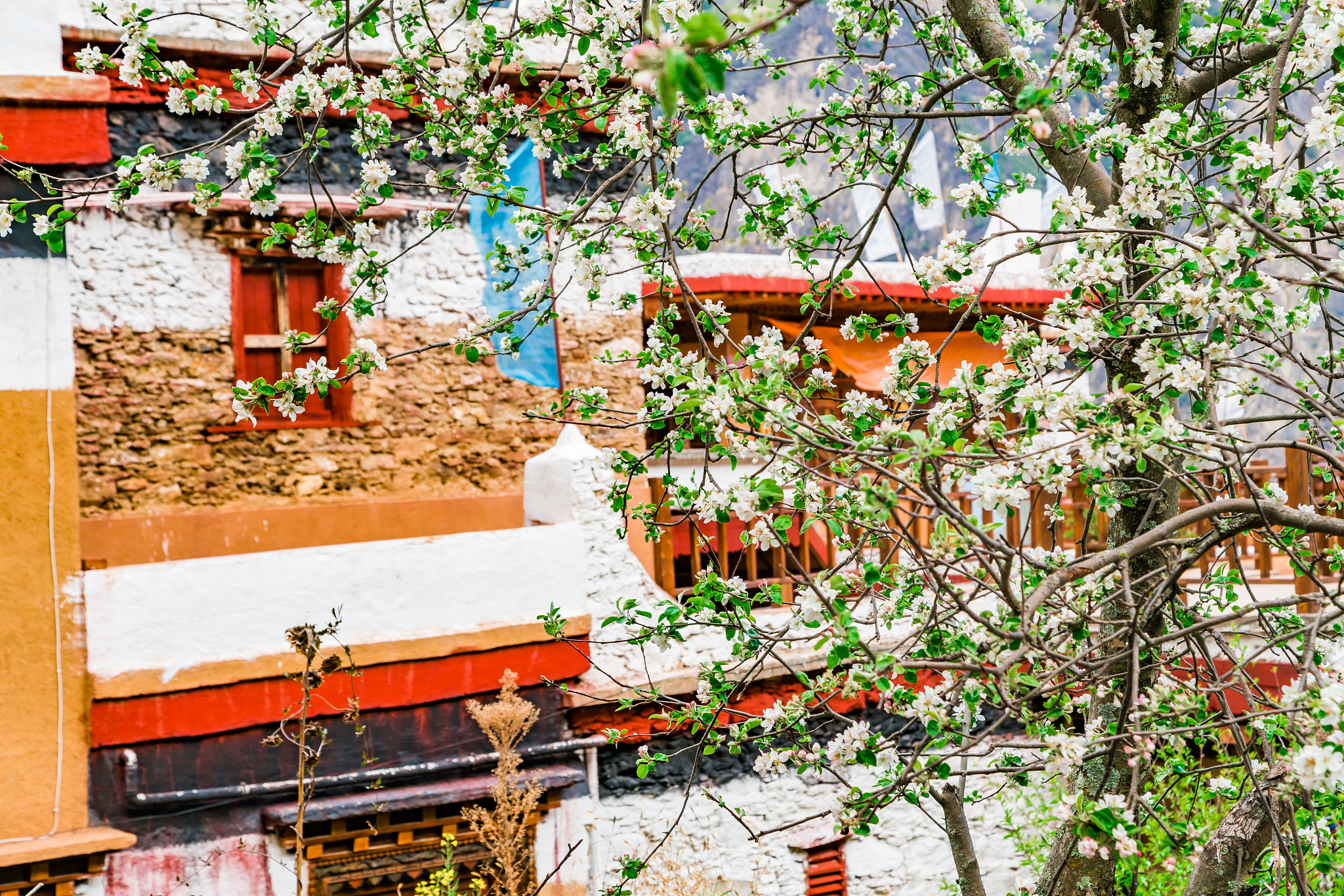 四川省初中未毕业能读什么中专学校