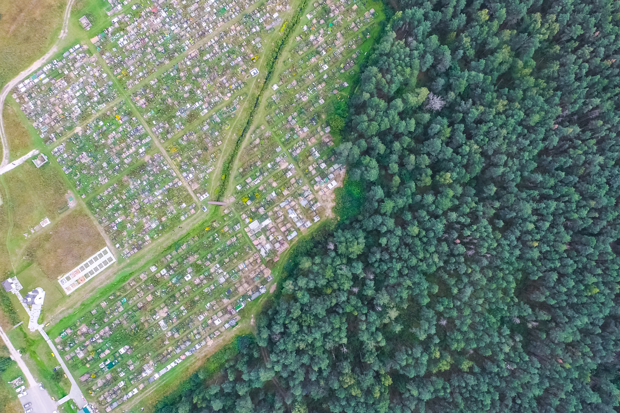 战争避难：为何城市比山林更安全？