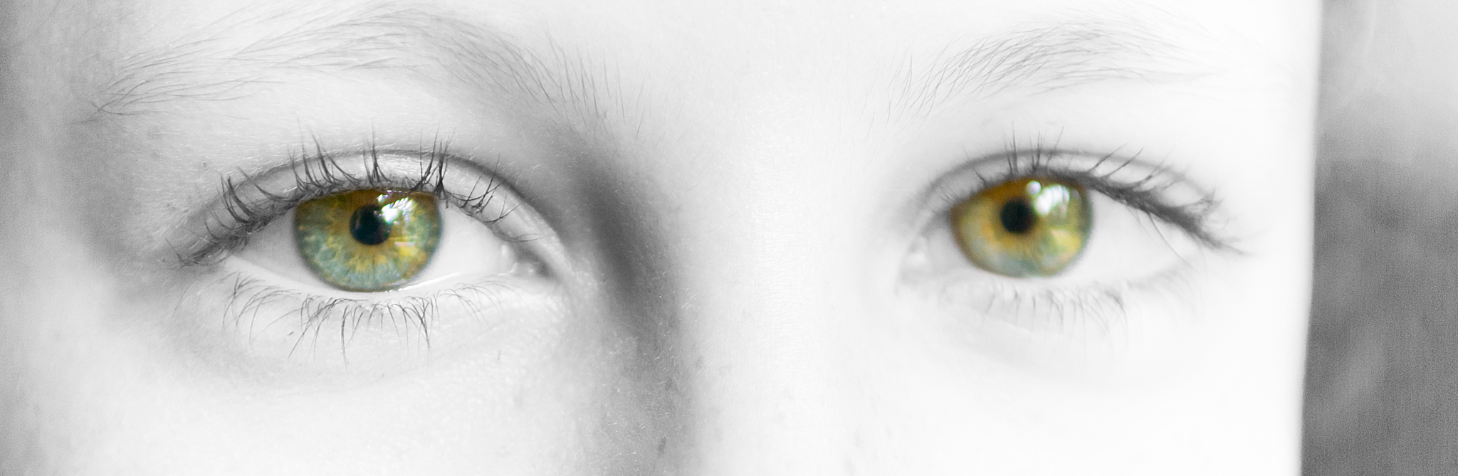 eyes, open, staring at the camera and close-up, color in the iri
