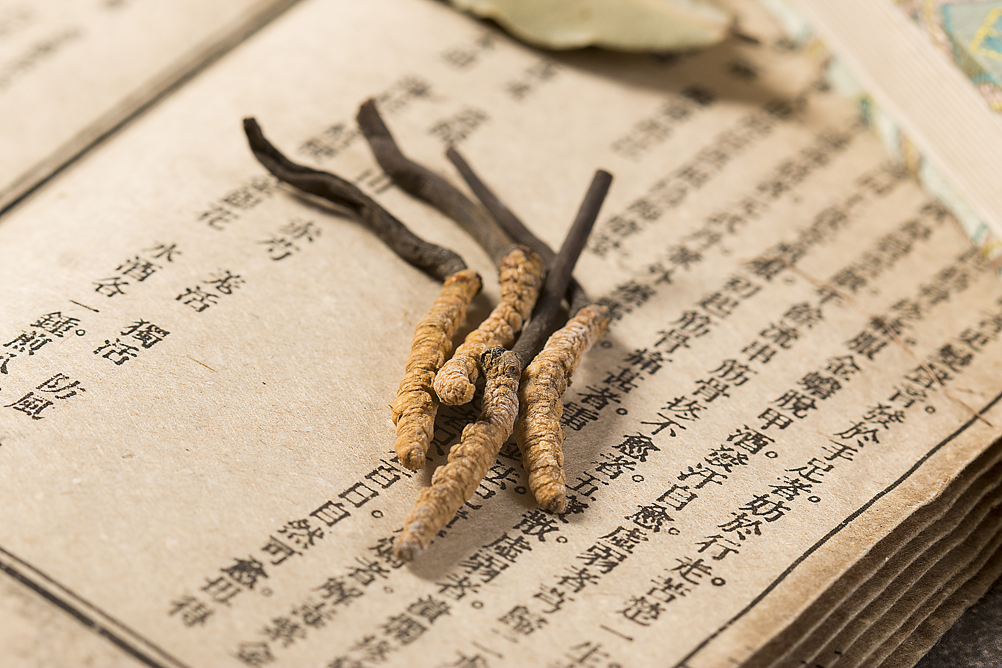 冬虫夏草 真如宣传的效果这么好？