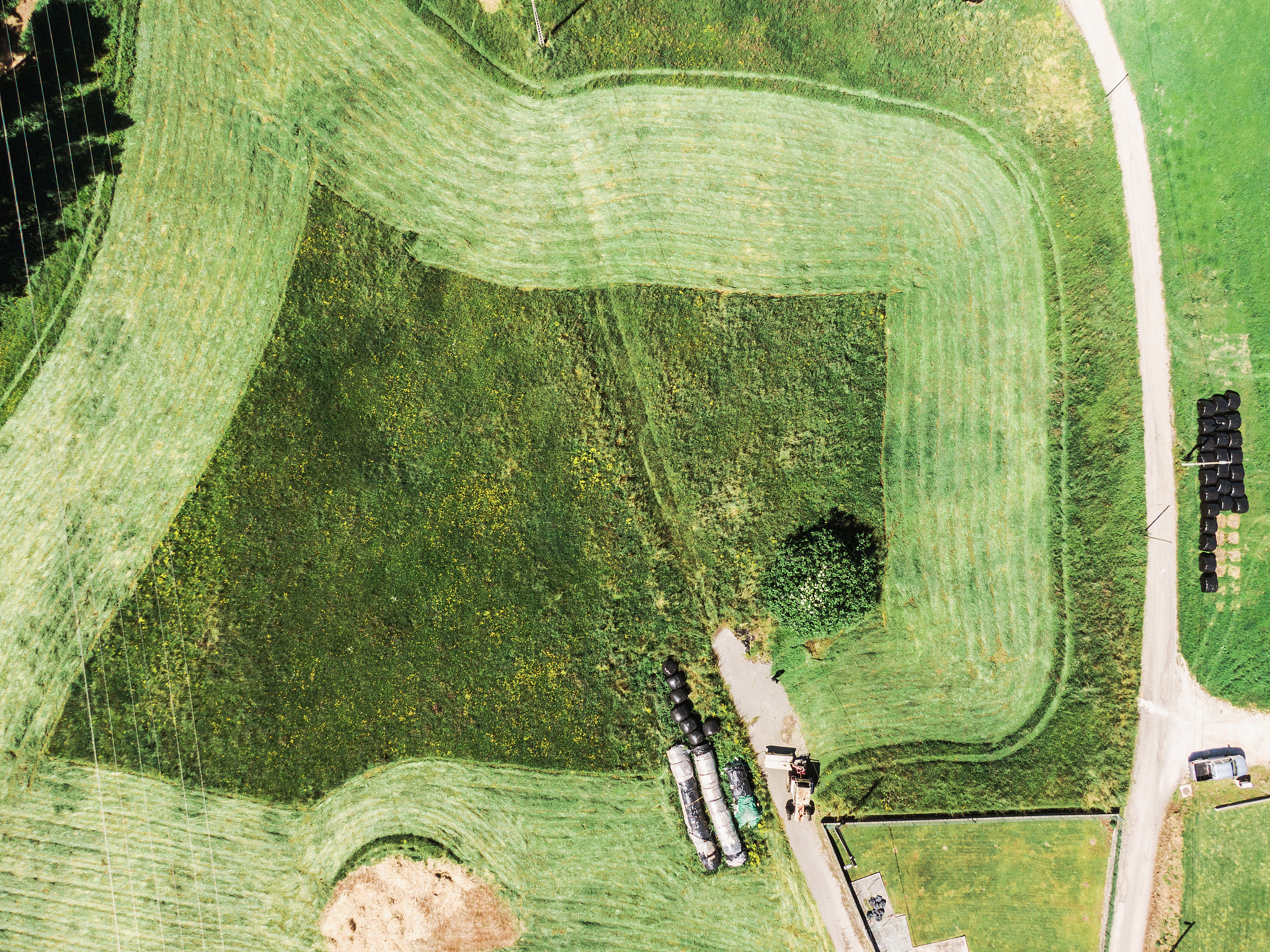 成都农业科技职业学院专业设置 - 培养农业科技人才，助力现代农业发展