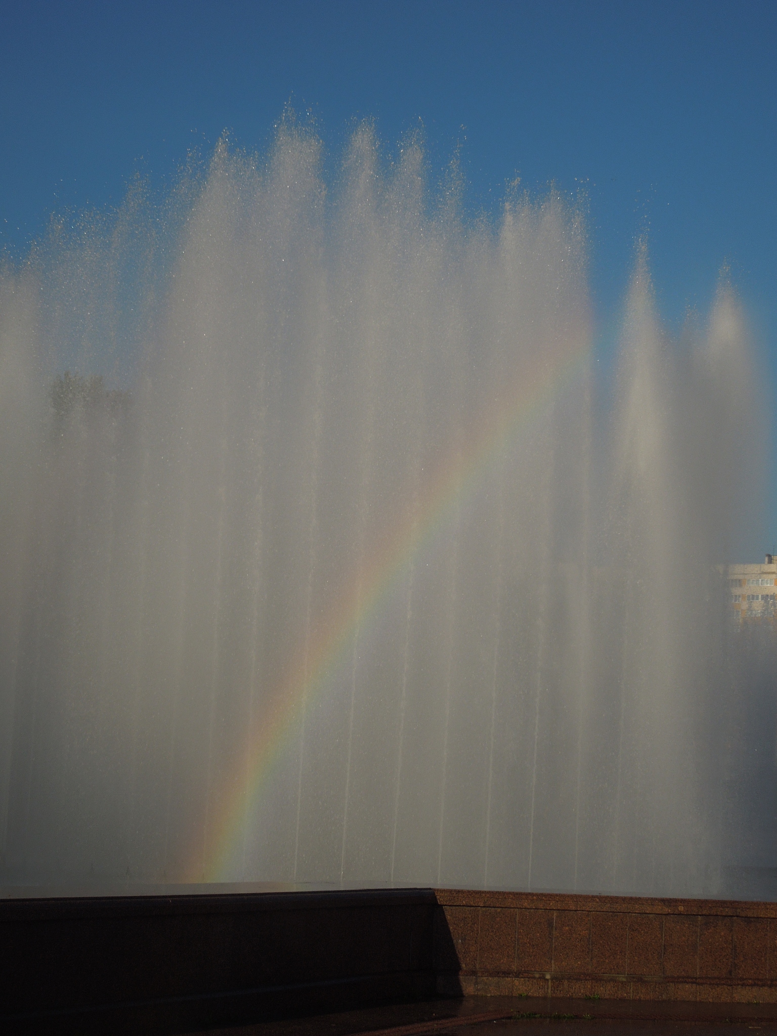 1200字关于摄影技巧：如何运用光线拍摄出完美照片？