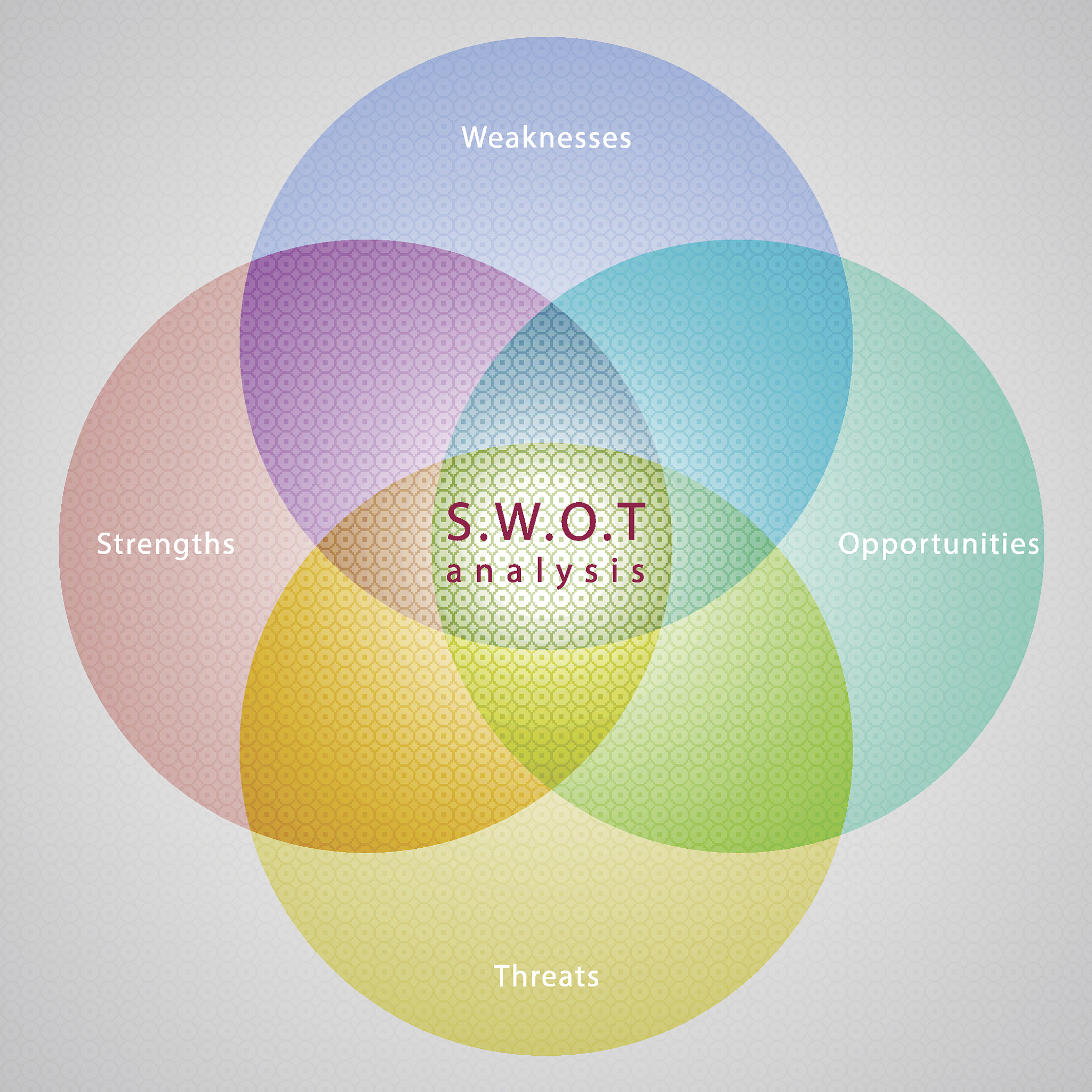 大学生撸猫创新创业项目概括项目简介市场分析Swot分析矩形图发展战略及市场定位营销策略财务状况团队介绍行业发展项目选址原则总结