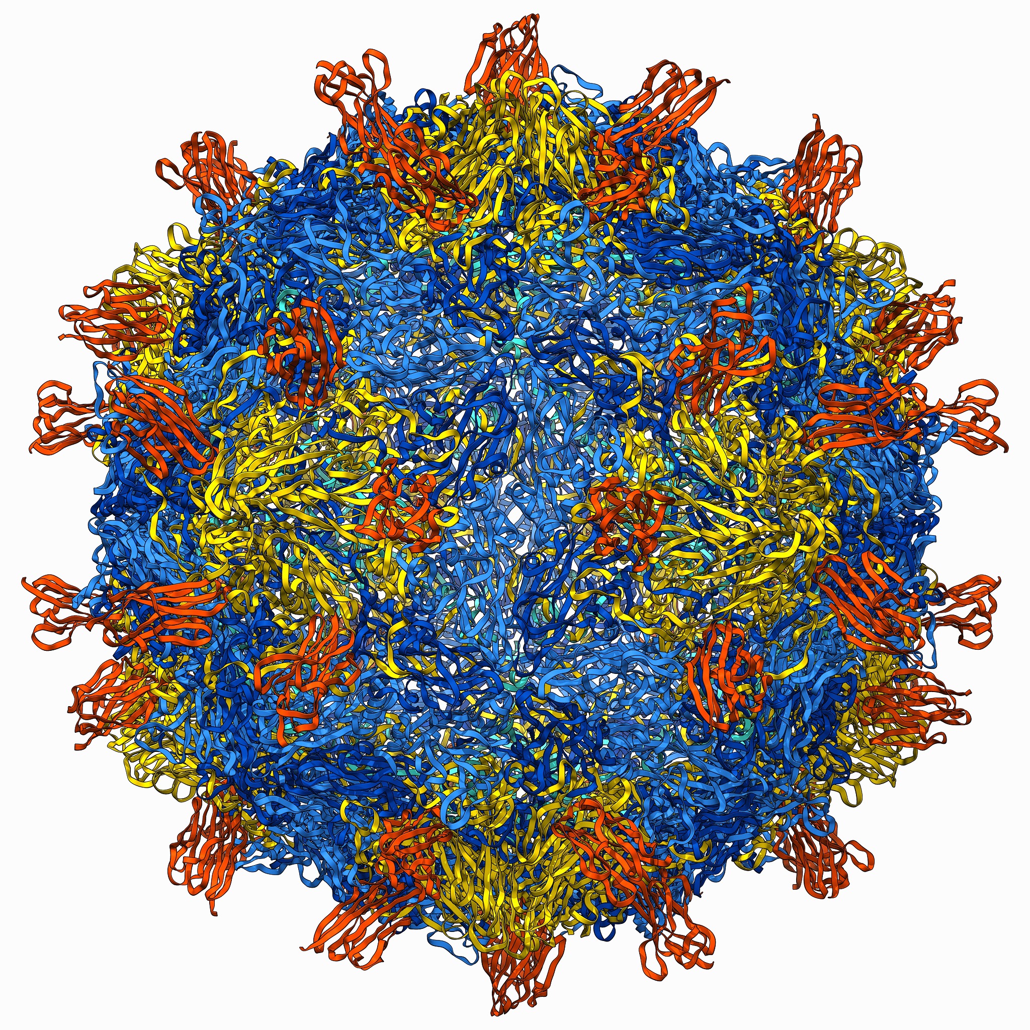 流感DIP产生机制