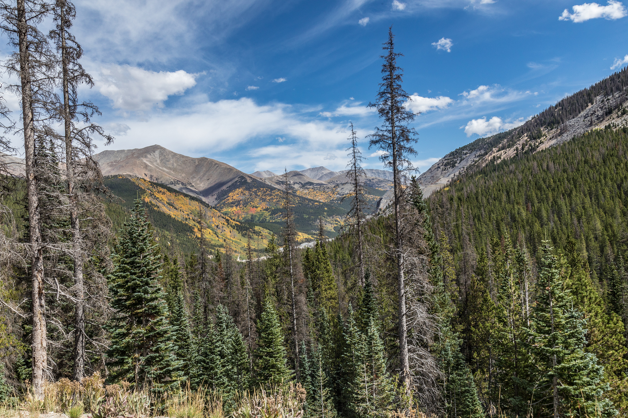 黔东南州工业学校招生办电话是多少-好不好