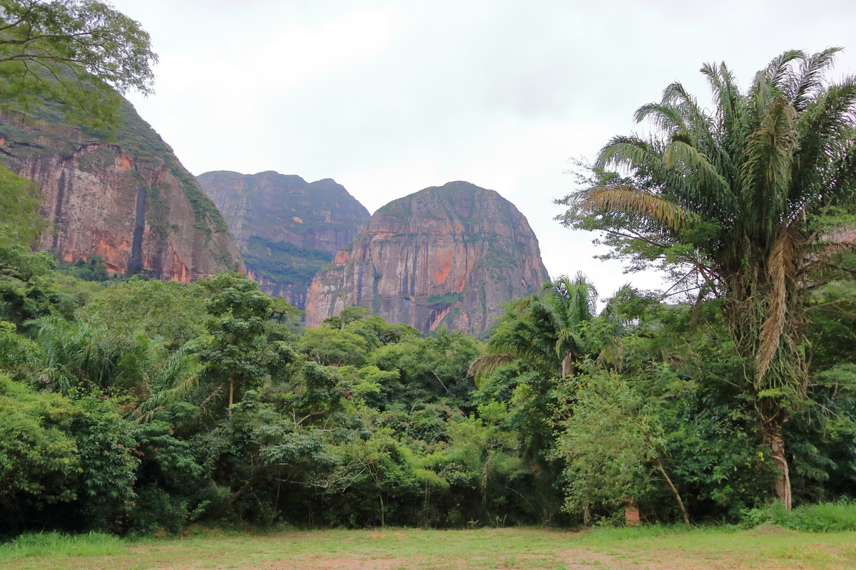 丹霞山世界地质公园植物辨认赛事预热报名推文标题党800字