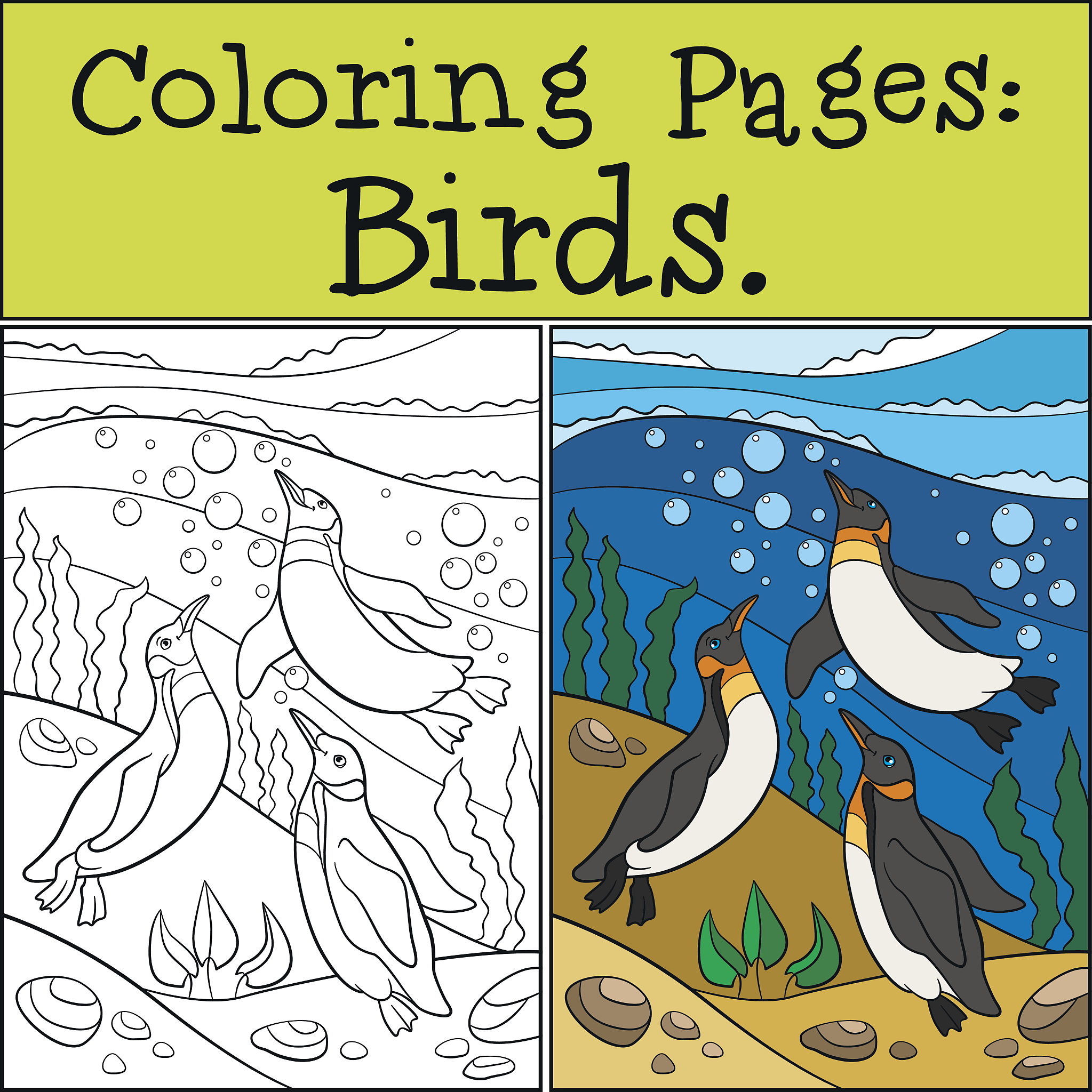JOURNAL OF ANIMAL BREEDING AND GENETICS: Manuscript Types and Submission Guidelines