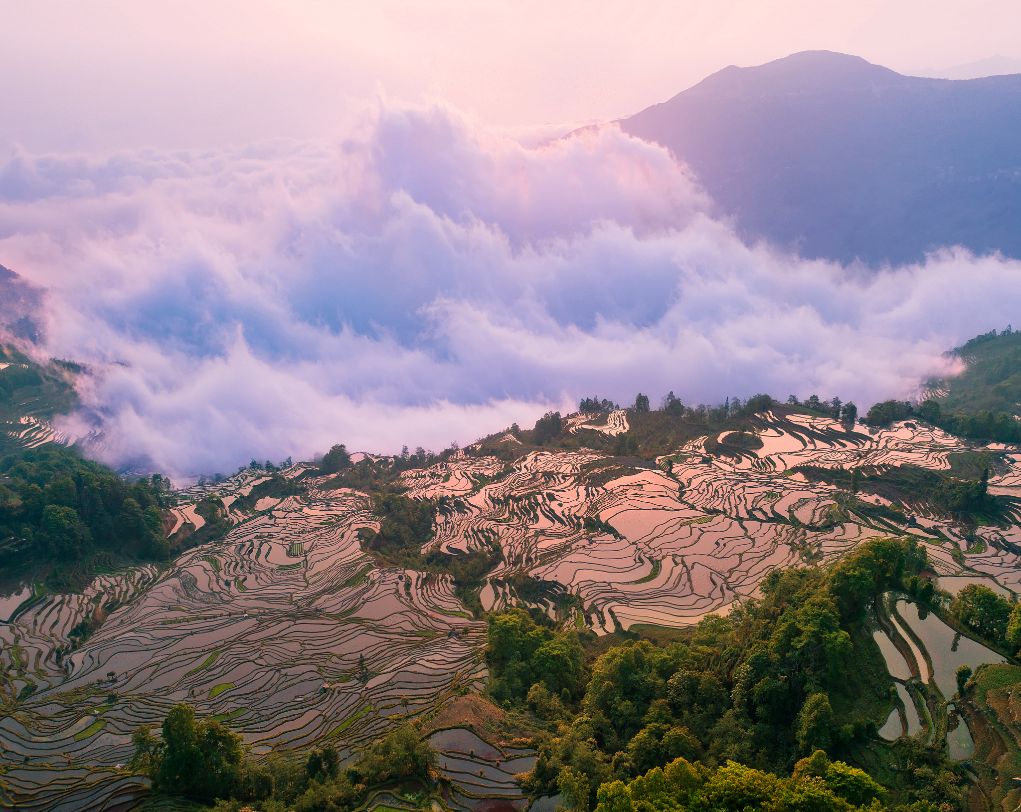 2019年云南经贸外事职业学院中专部护理专业