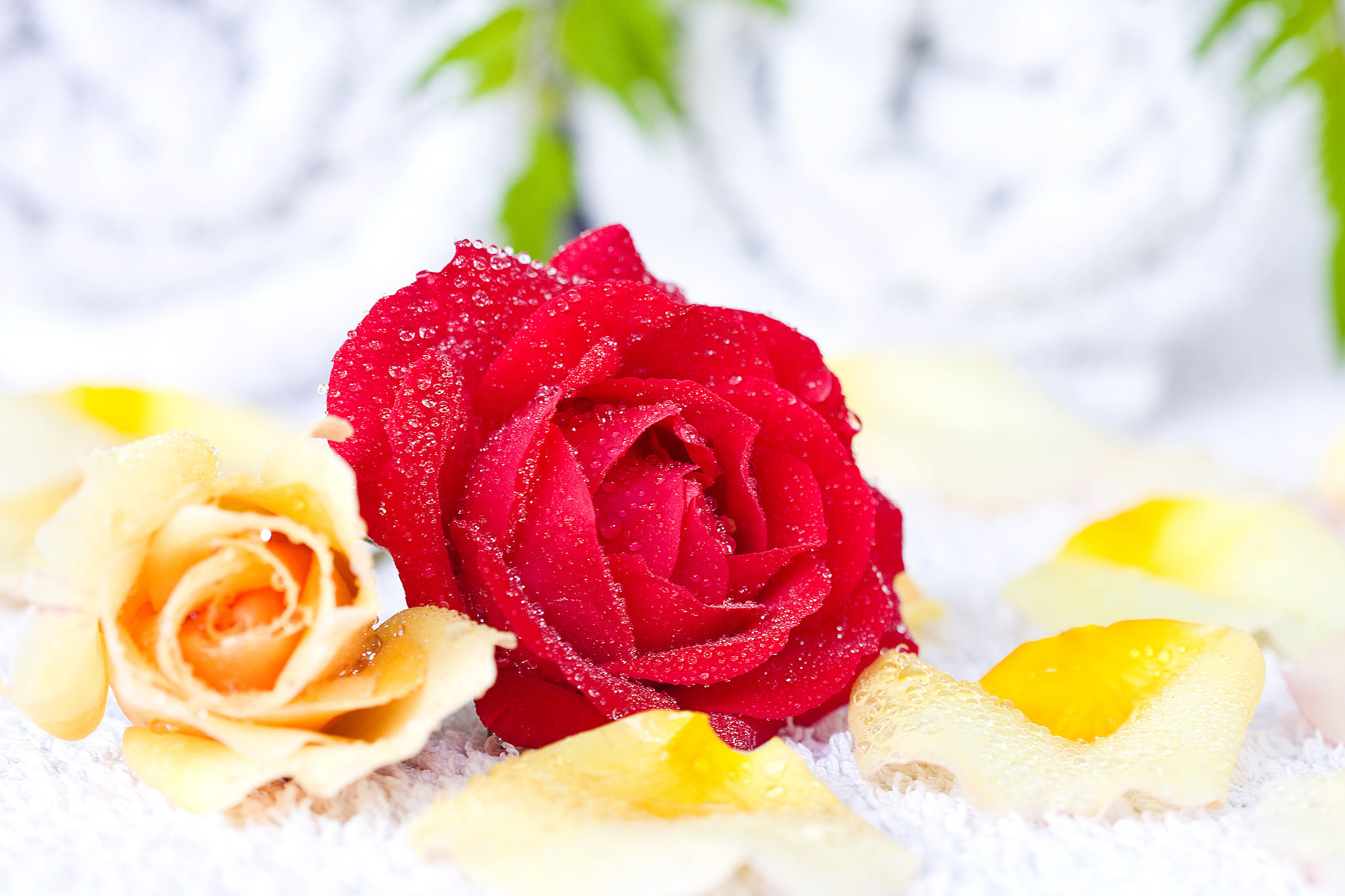 贵州省机械工业学校汽车装饰与美容专业怎么样