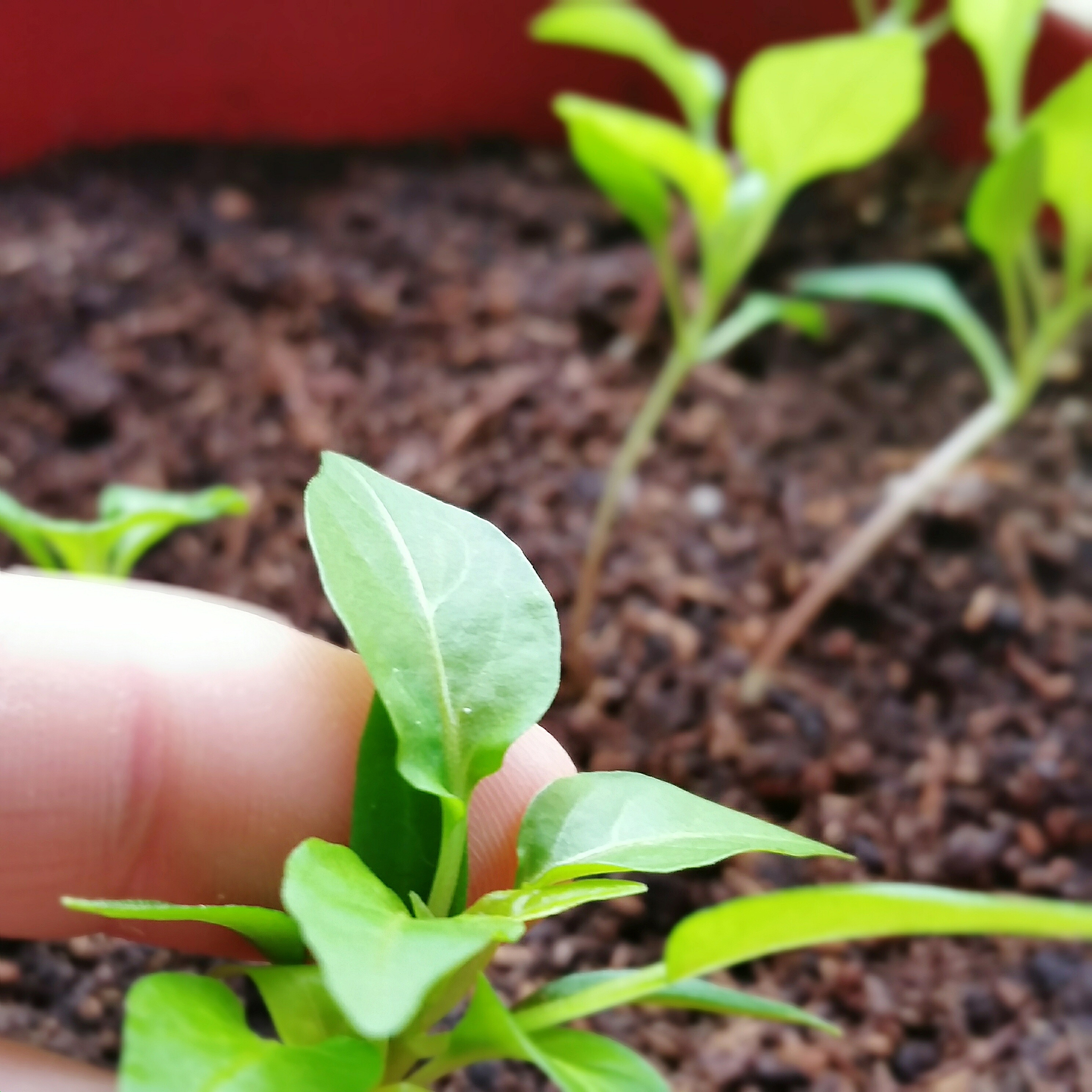 宿州环保工程学校2023年开设有哪些专业-怎么样