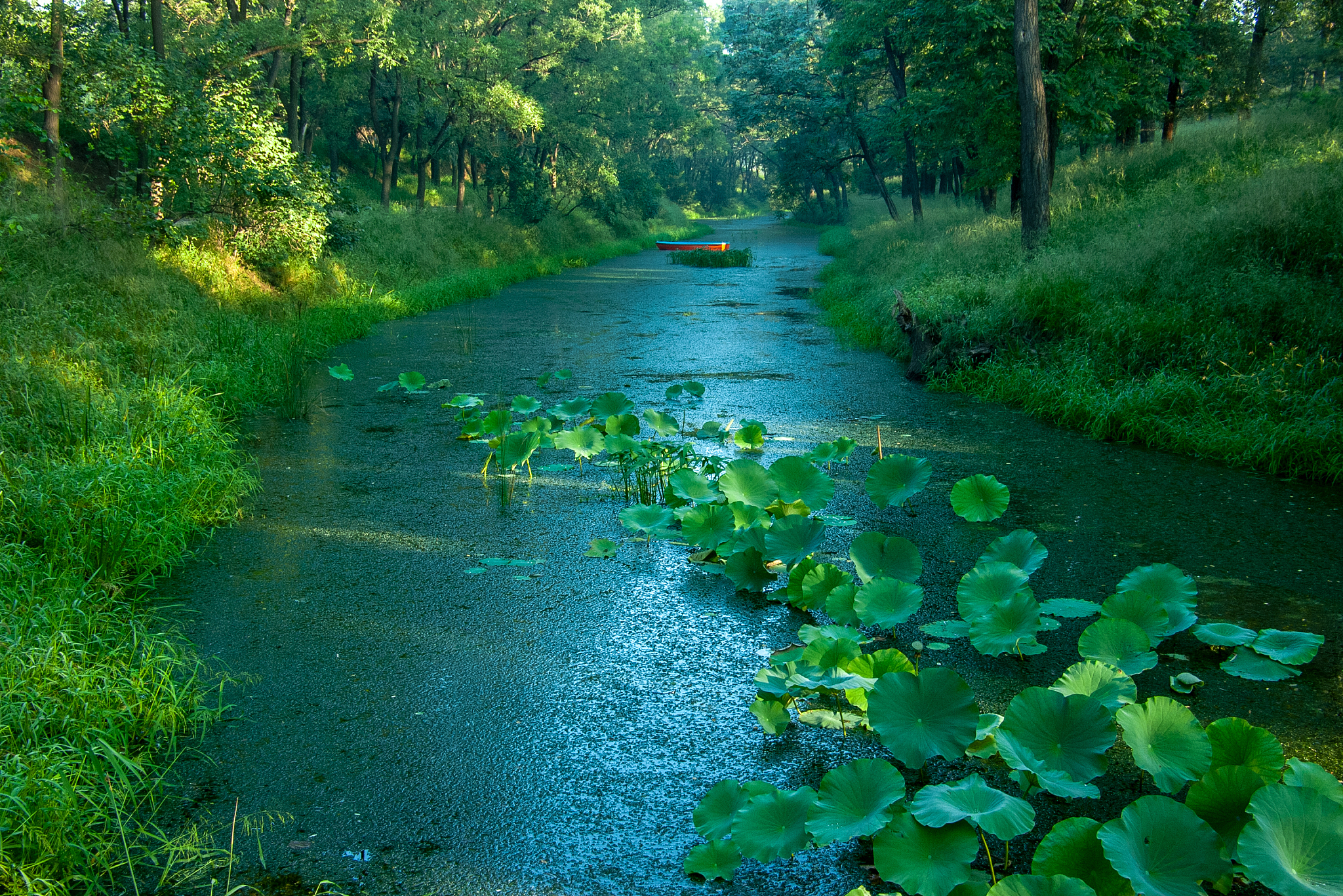 写一个关于承德避暑山庄的教学案例说明书