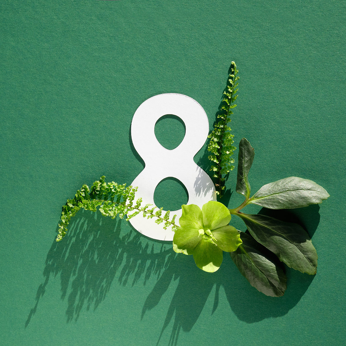 可以帮我依据参考范文写一个论文大纲吗？