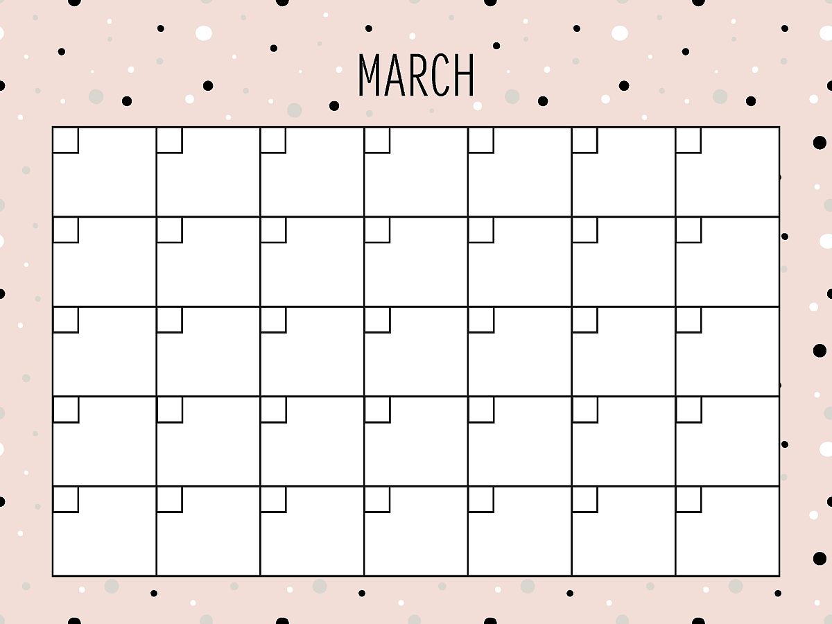 WPS 会员：解锁办公效率，享受更多特权