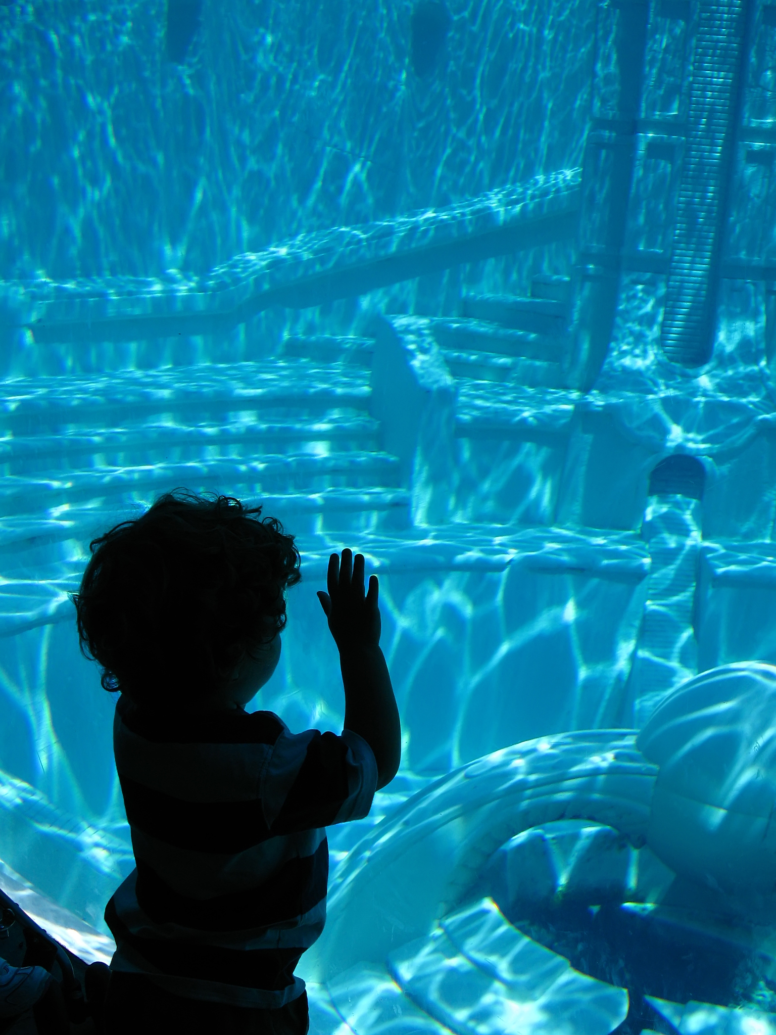 tiny boy looking into giant aquarium