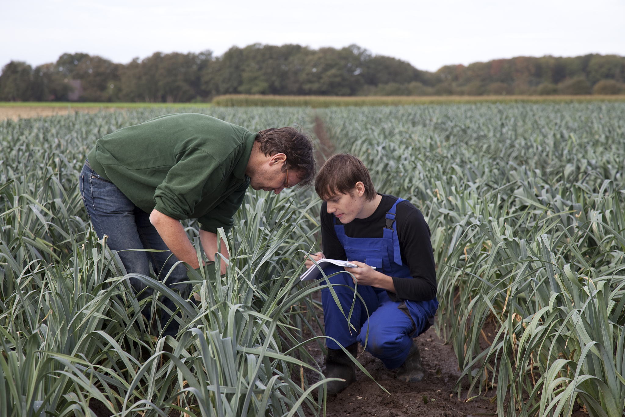 云南省曲靖农业学校2022年招生条件是什么