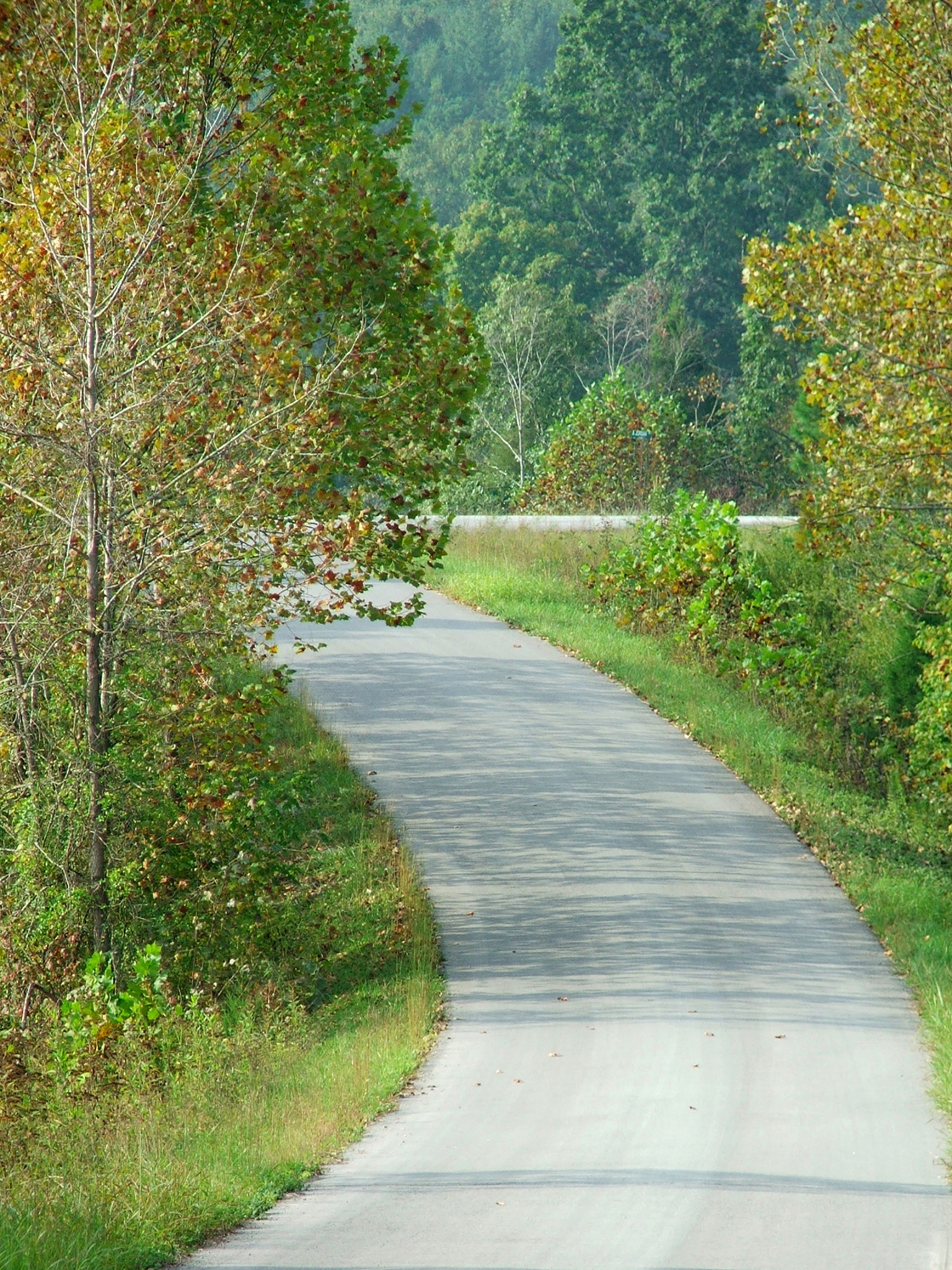 形容乡村道路的成语 - 优美风景尽收眼底