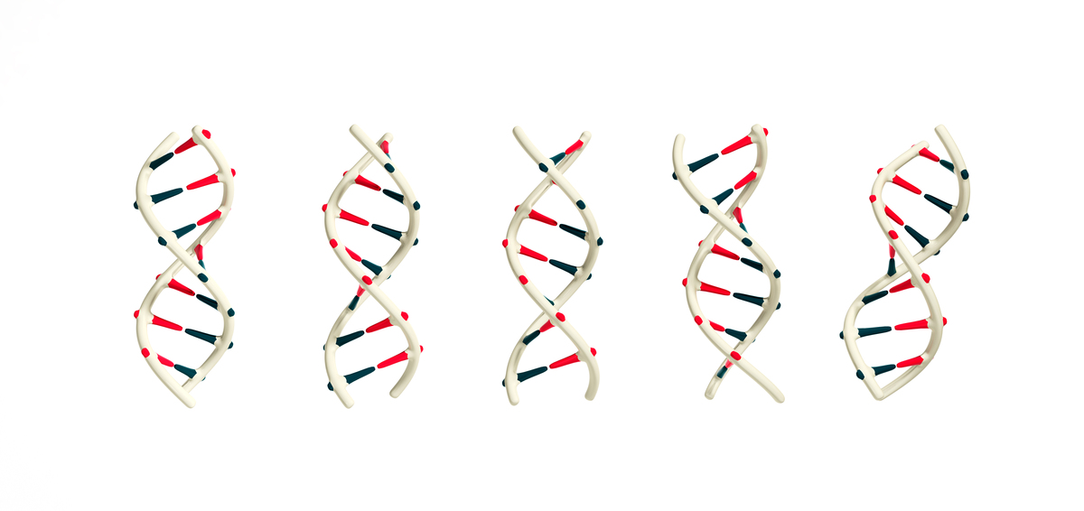3-10 helix的意义是什么越多越稳定还是越少