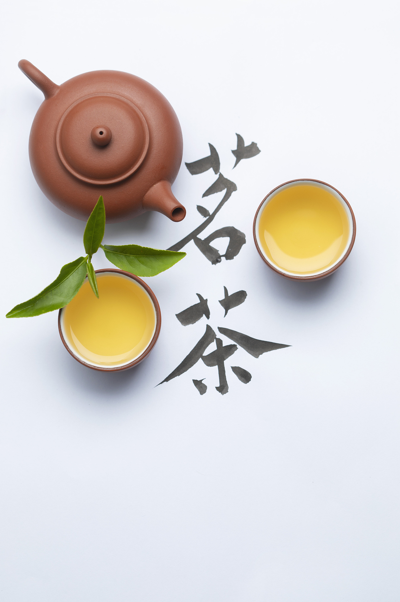 🍵我的养生茶笔记 | 呵护身心，探索健康之源