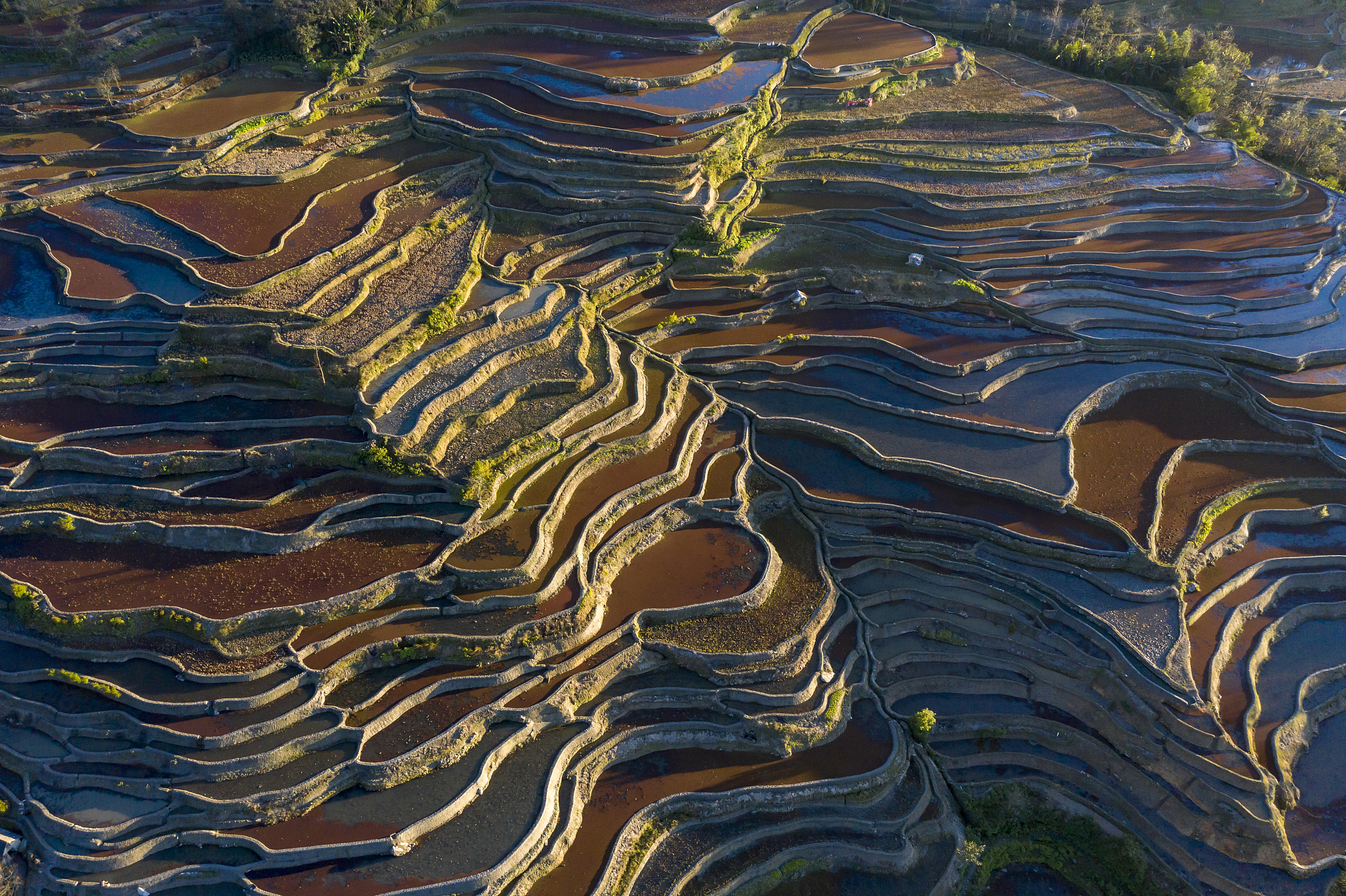 云南旅游攻略：探秘中国西南边陲的美丽与神秘
