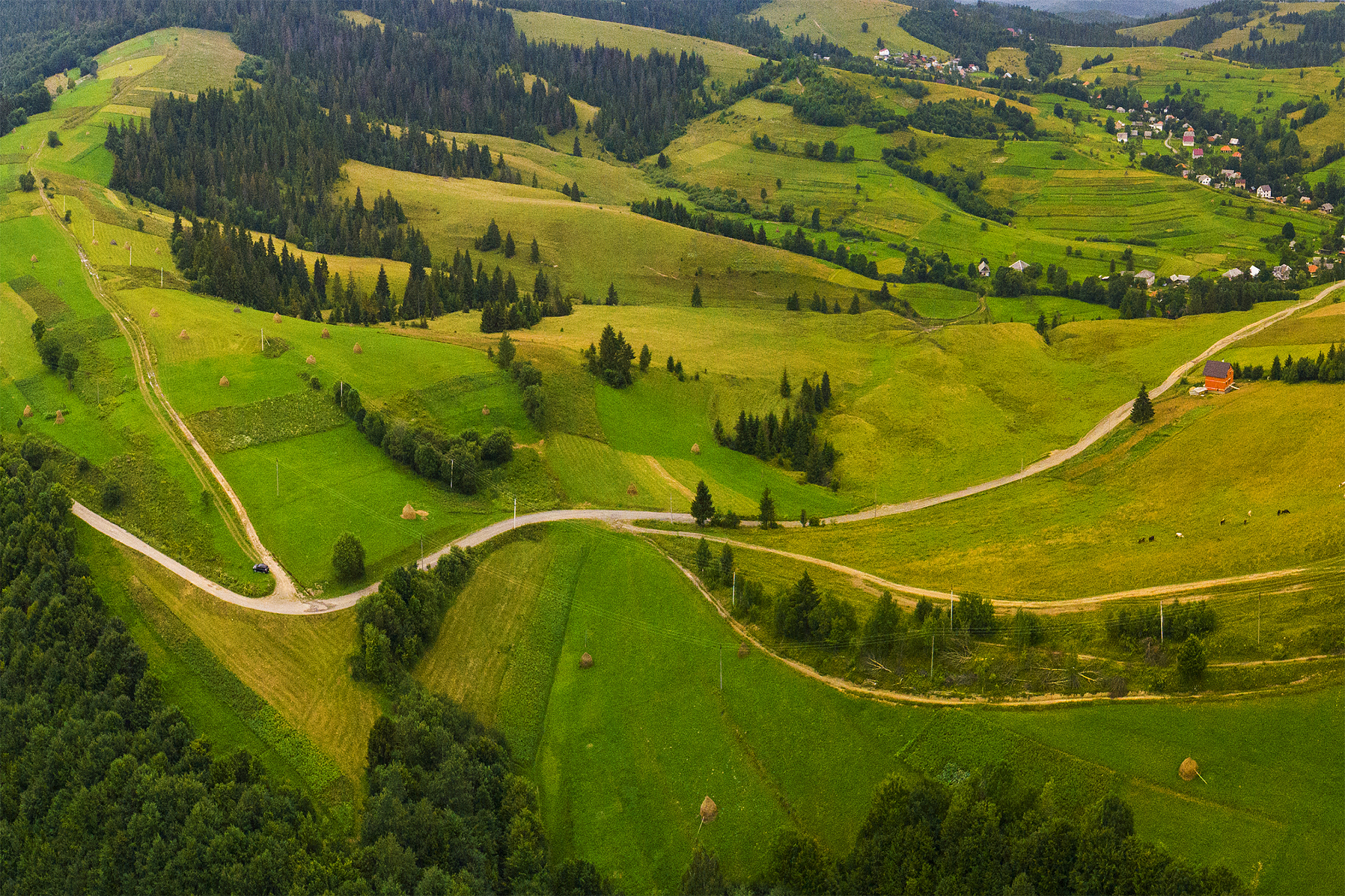 forests, meadows  and hills of the carpathian mountains taken wi