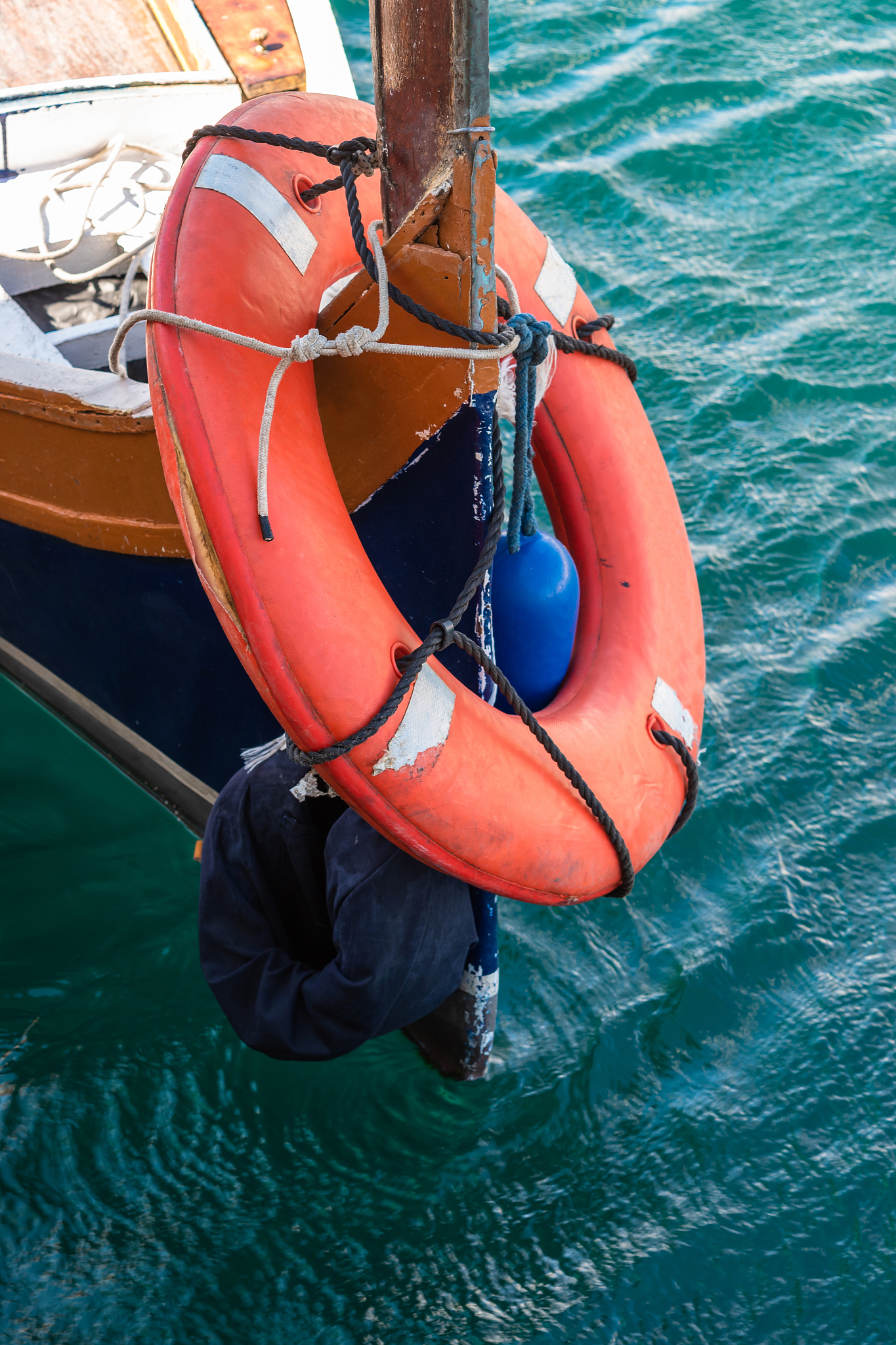 介绍一下salus marine