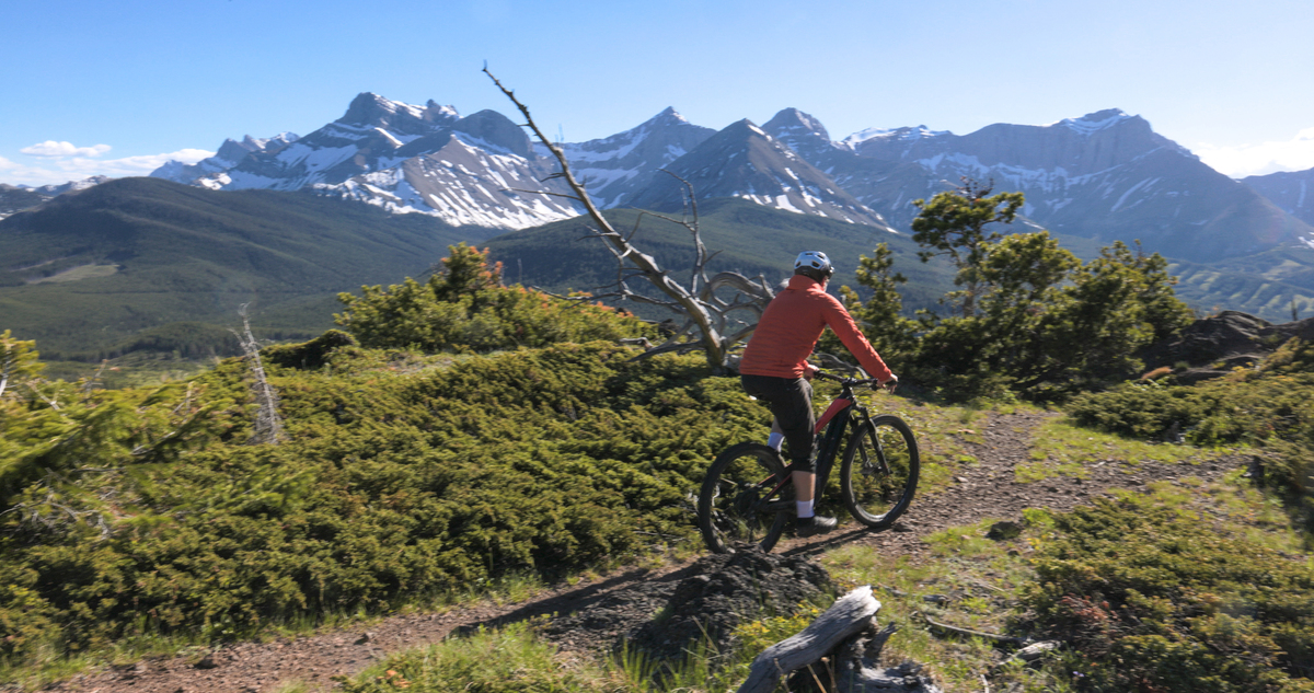 Tom's Mountain Bike Photography: Capturing the Essence of Adventure