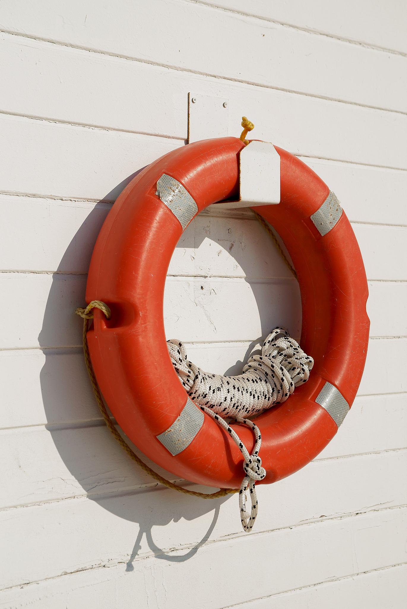 life buoy hanging on a wall