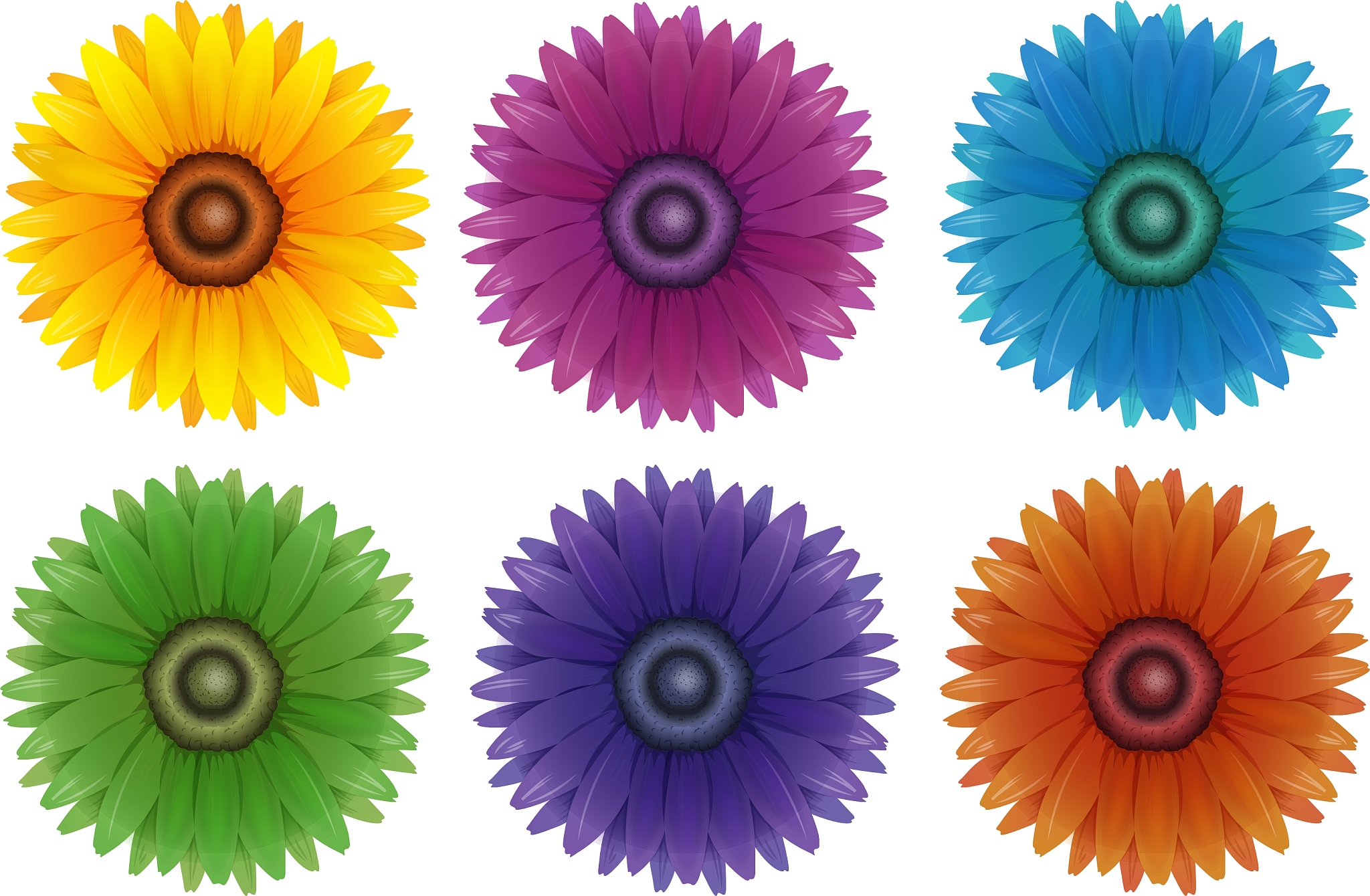 散射光对植物的影响