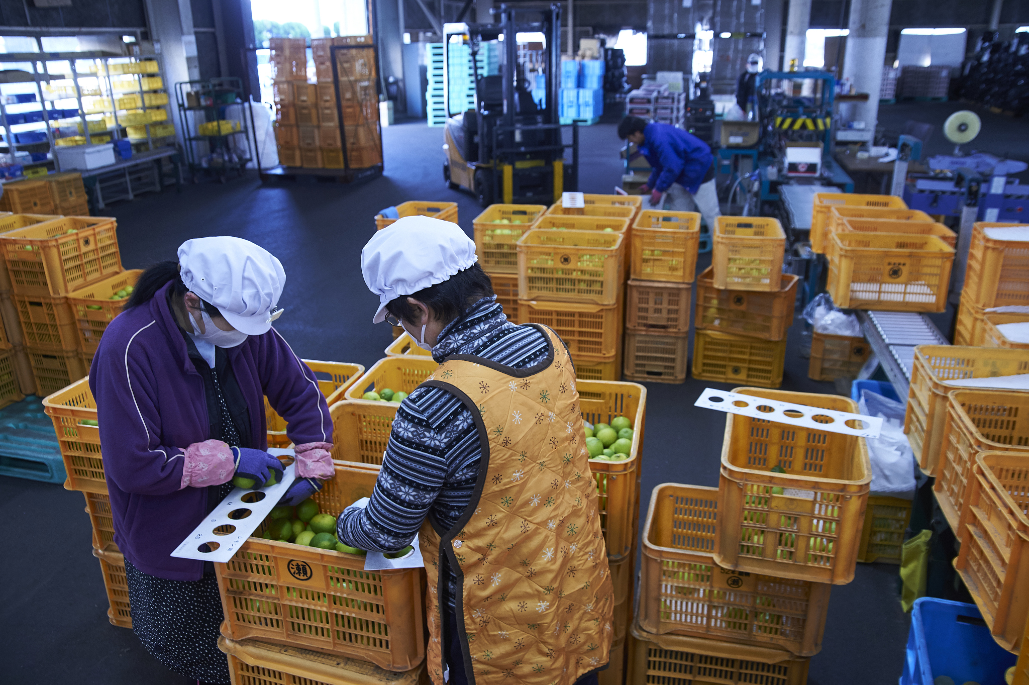 在甘肃读农产品营销与储运专业可以去哪些学校