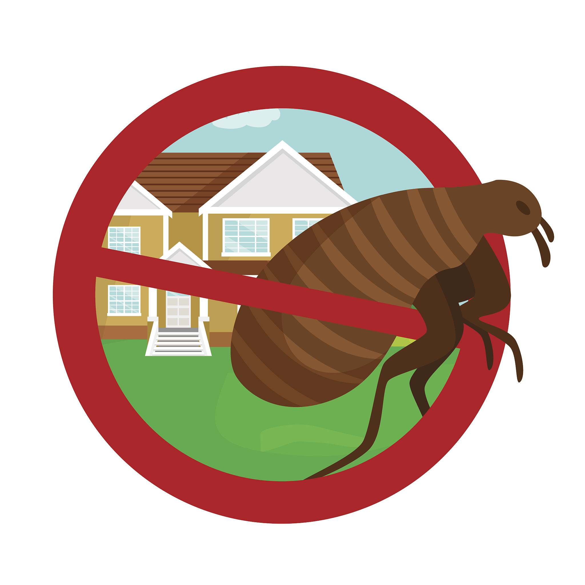 如何预防仙人跳：居家防虫指南