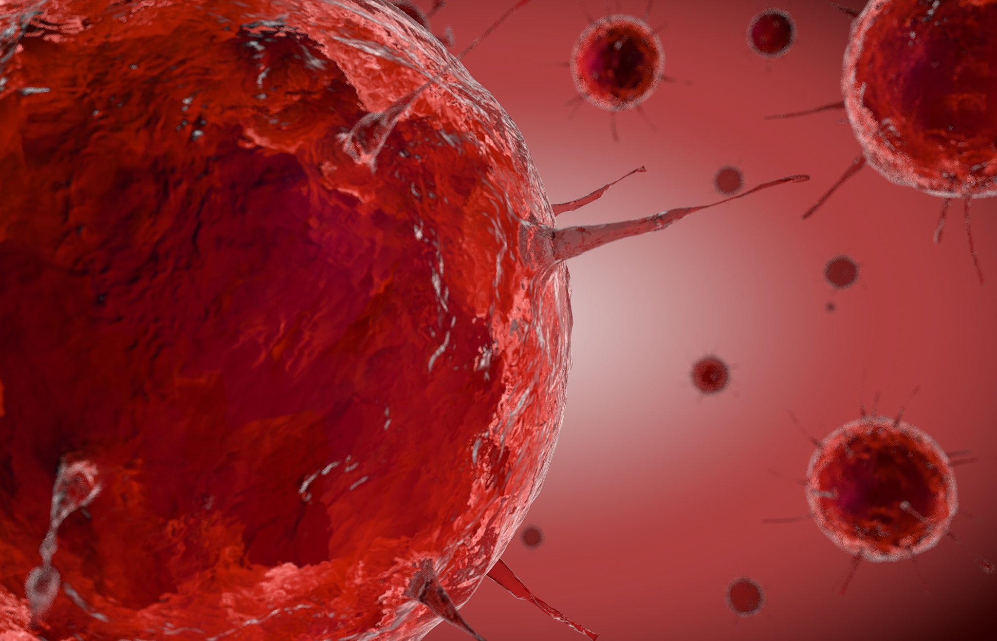 高中生物学原理概述：300字解析生物学基础知识