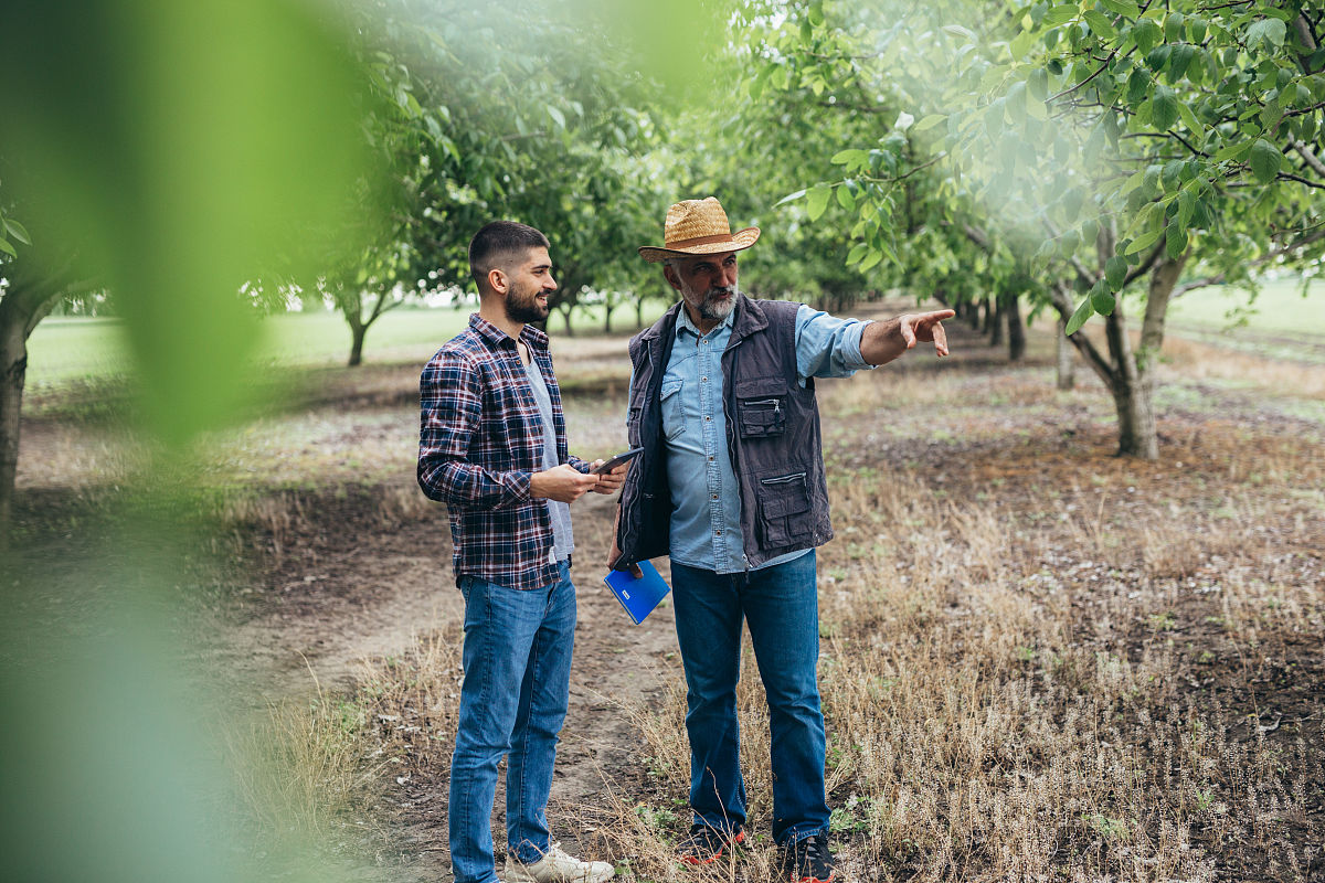 《走在乡间的大路上》人物深度解析：农民、企业家、教育工作者和农民工的故事