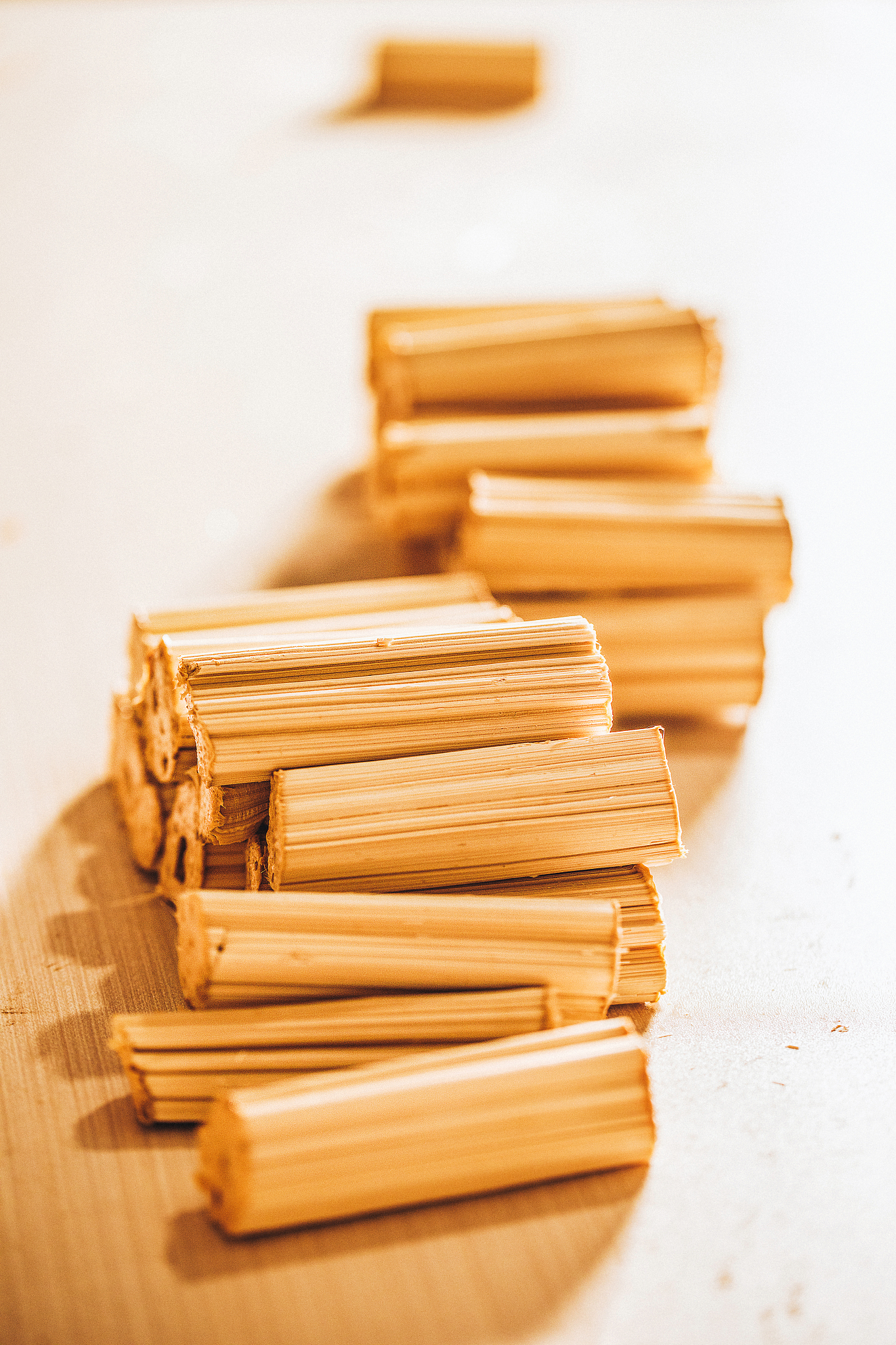 全国食糖现货价格和制糖集团价格差异是什么？