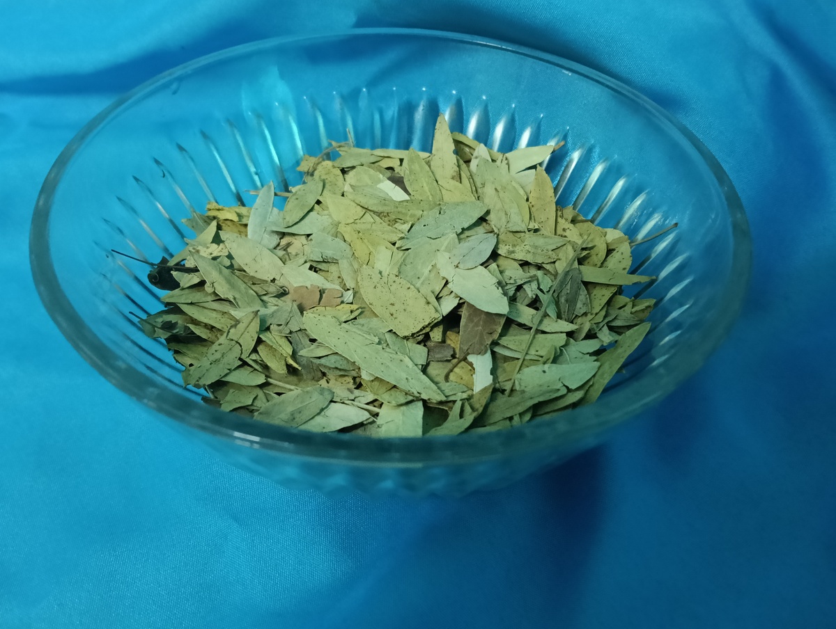 鱼腥草的功效与作用：清热解毒、消肿止痛、抗菌消炎