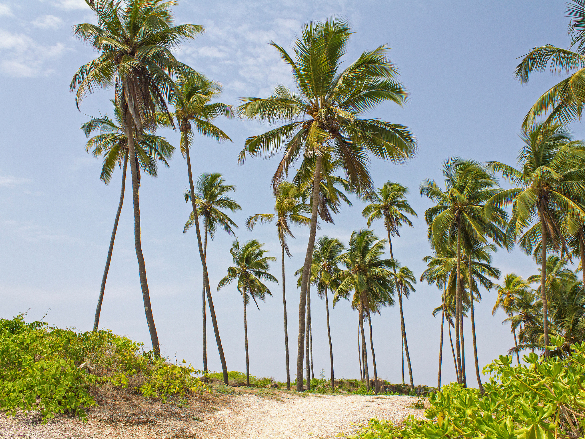 inside the island