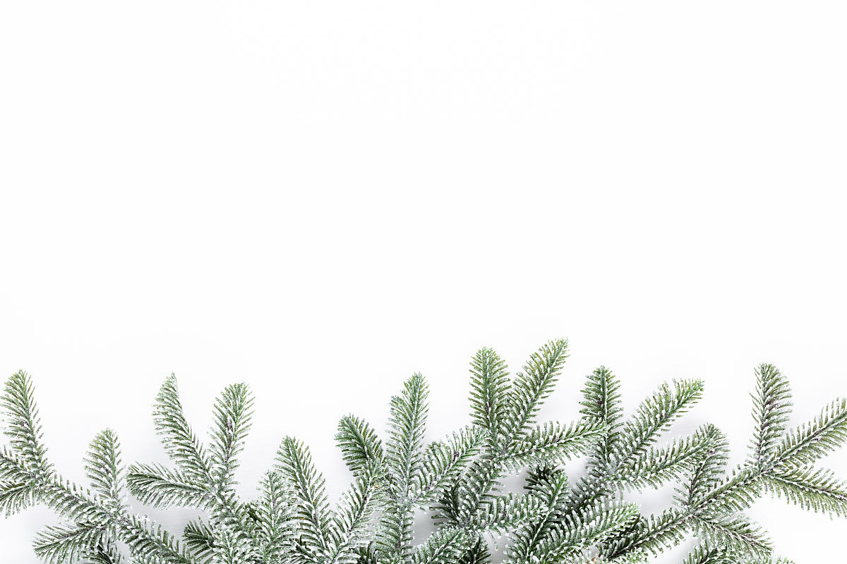 描写我的同学的作文 写一篇300字小学作文