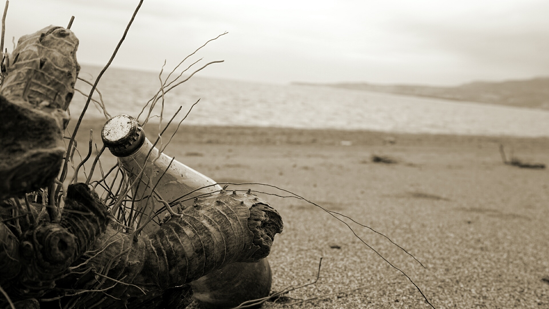 阅读下面的文字根据要求作文。一个不成熟的人的标志是他愿意为某种事业英勇地死去一个成熟的人的标志是他愿意为某种事业卑贱地活着。 《麦田里的守望者》对此你有怎样的思考写一篇议论文阐述你的看法要求论据使用准确论点明晰自拟标题不少于800字。 高中语文作文