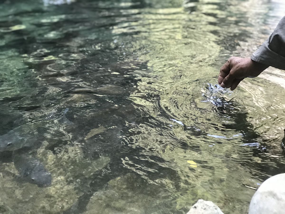 近期发表有关水体污染的中文得出的结论