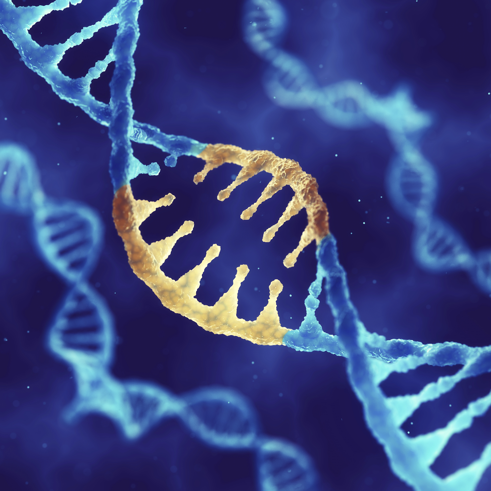 生物试题情景创设的类别都有什么