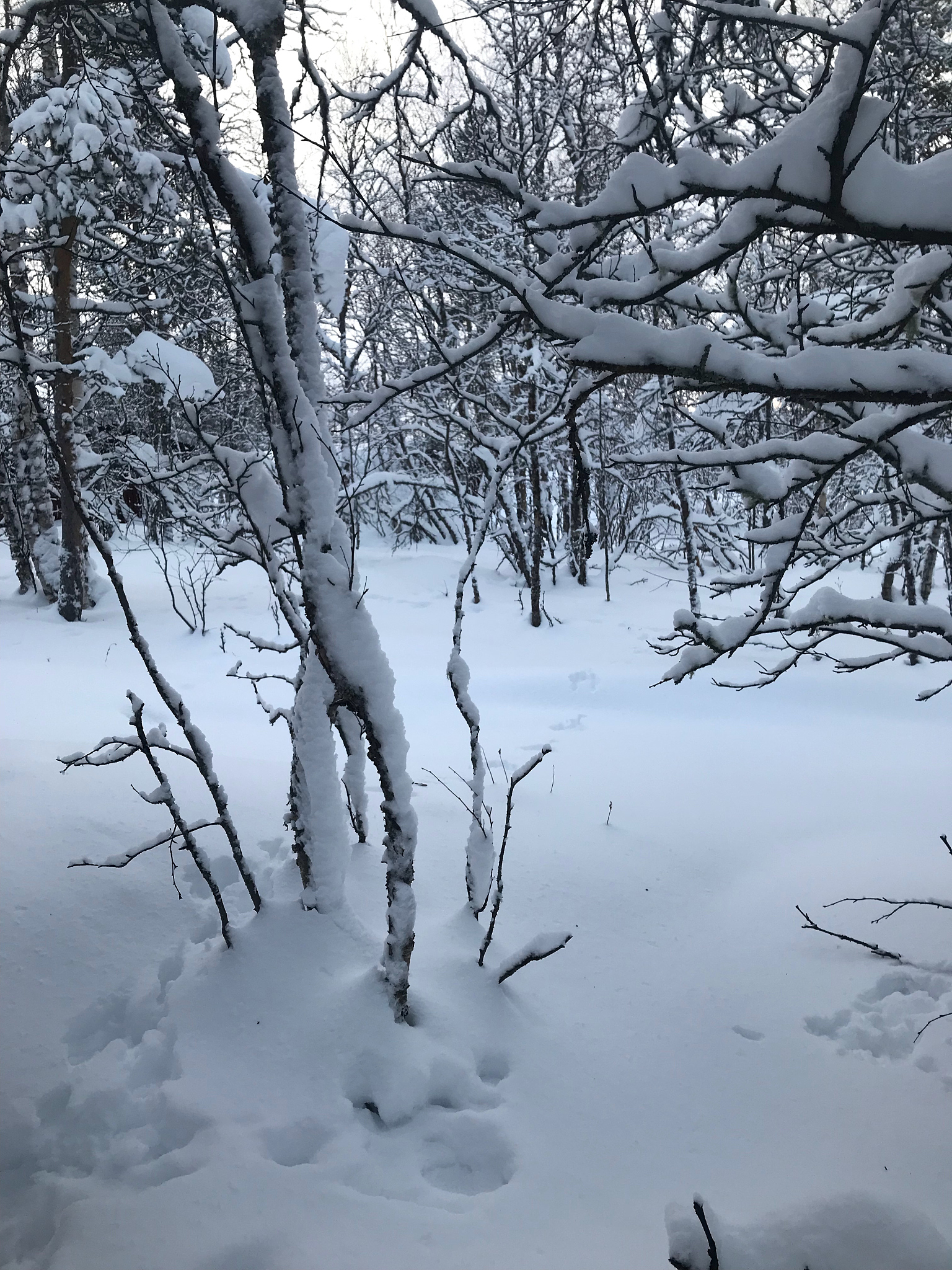 肇庆市三只松鼠仓库管理优化问题研究调查问卷的实施过程和结果分析