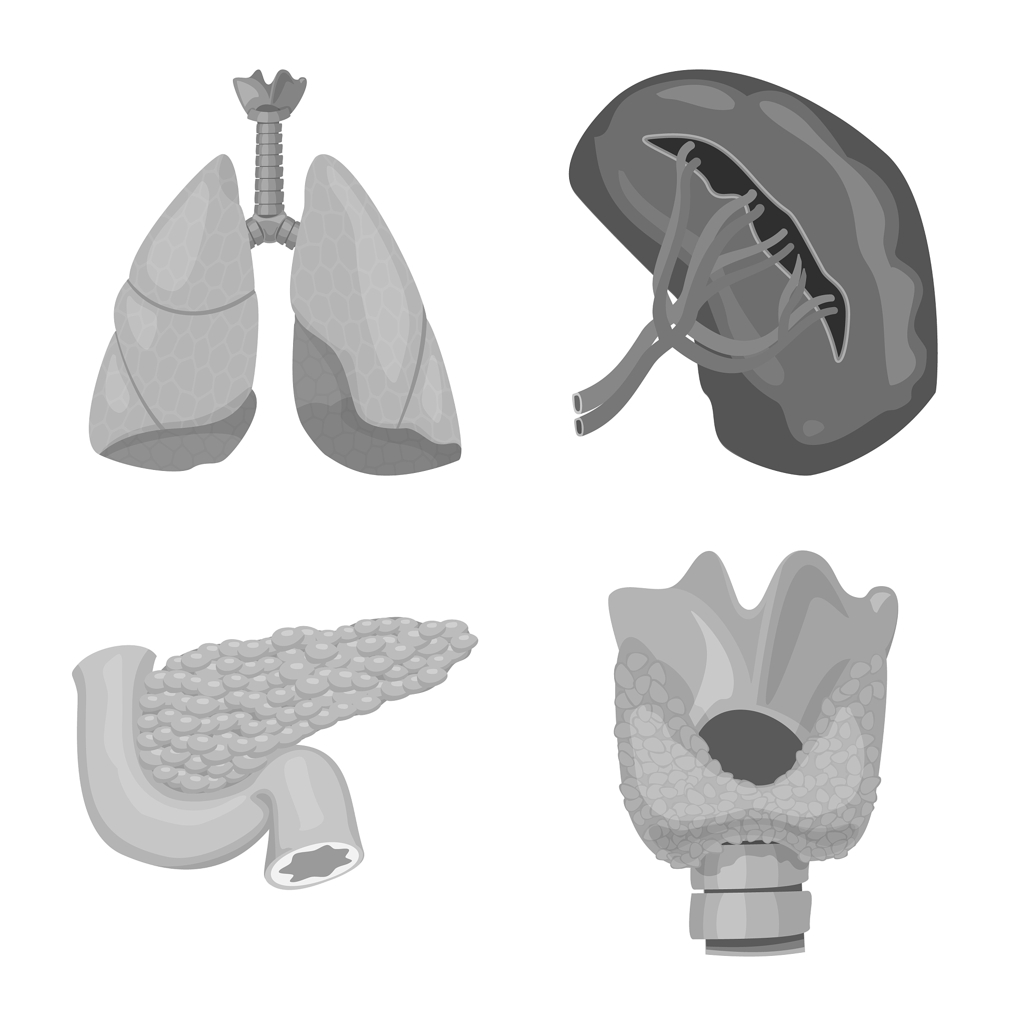 对以下内容进行适当的扩句：气道狭窄是临床上一种常见的疾病植入气道支架则是治疗该种疾病的主要治疗方式之一从前的医生往往需要大量的培训与训练来应对这一疾病对植入气道支架之后以及在整个植入过程当中气道的受力并没有一个定量的认知往往只能进行大量的病历分析来找出共性并进行诊断与治疗。随着电脑技术与有限元技术的发展未来医疗技术越来越精细化与个性化有限元模拟在临床医学方面也会越来越得到重用就比如本次毕业设计是定