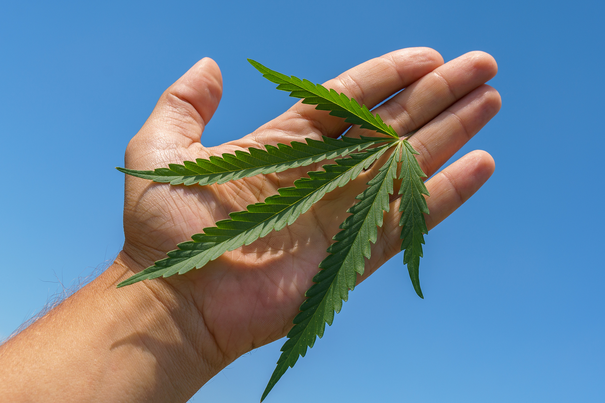 草地健康评价方法综述：优缺点及适用性分析