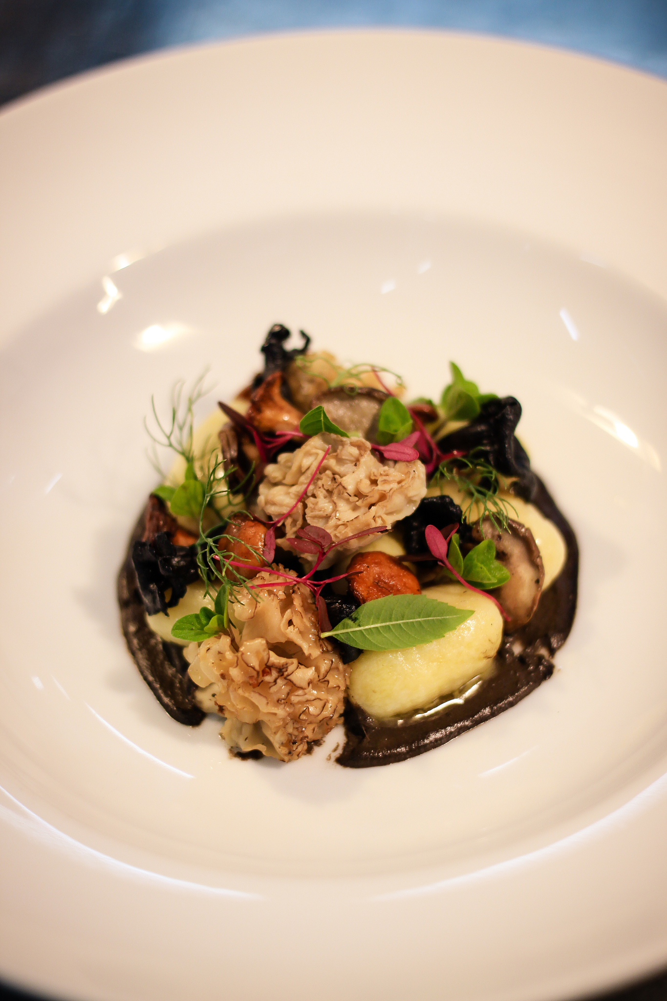 gourmet food on dish