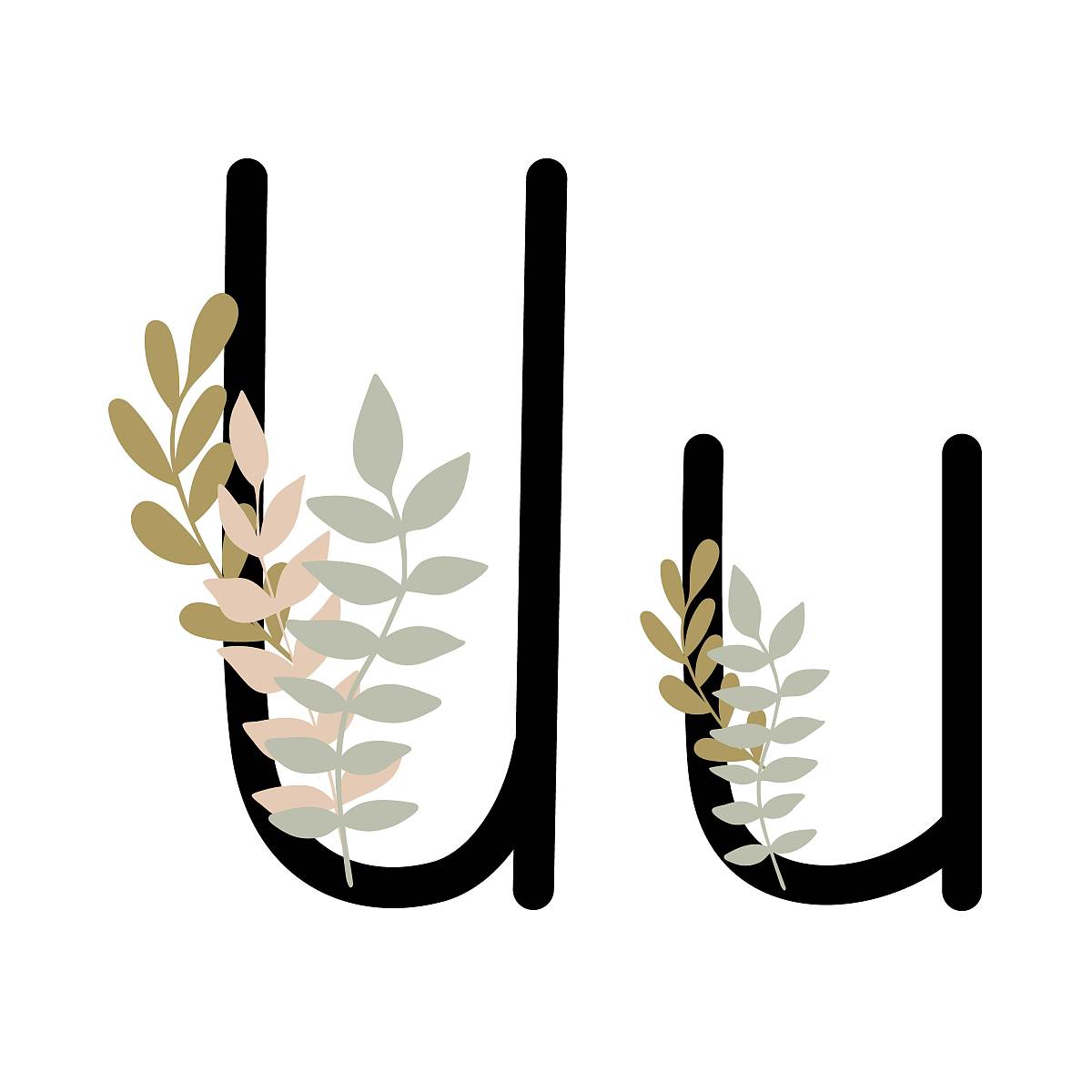 UW 字母组合能组成哪些单词？