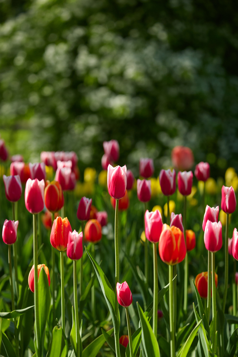 关于季节的抒情诗