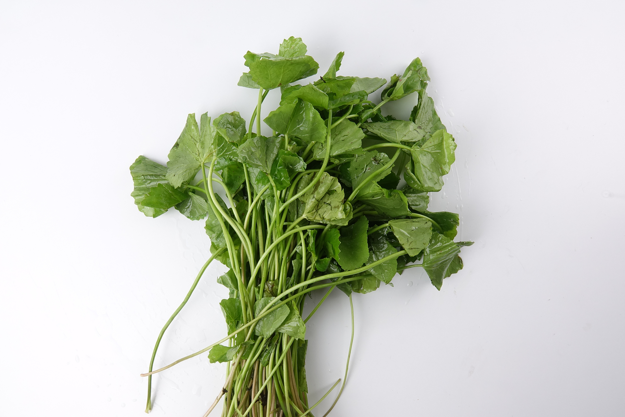 康复治疗专业要学习哪些课程？学校介绍