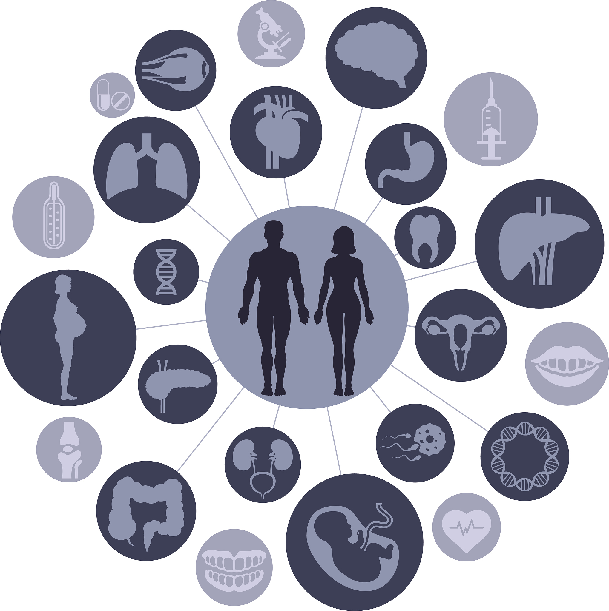 所有人类能干的事情