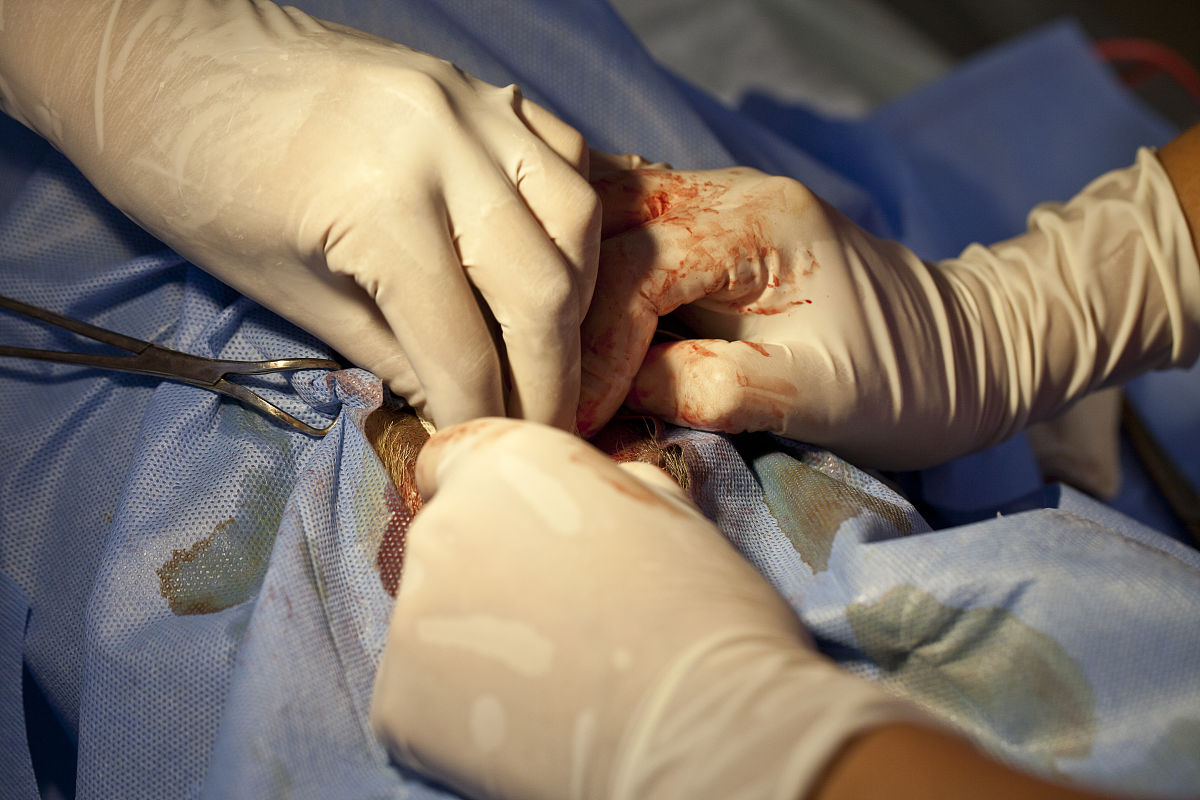 永州职业技术学院畜牧兽医专业就业方向有哪些